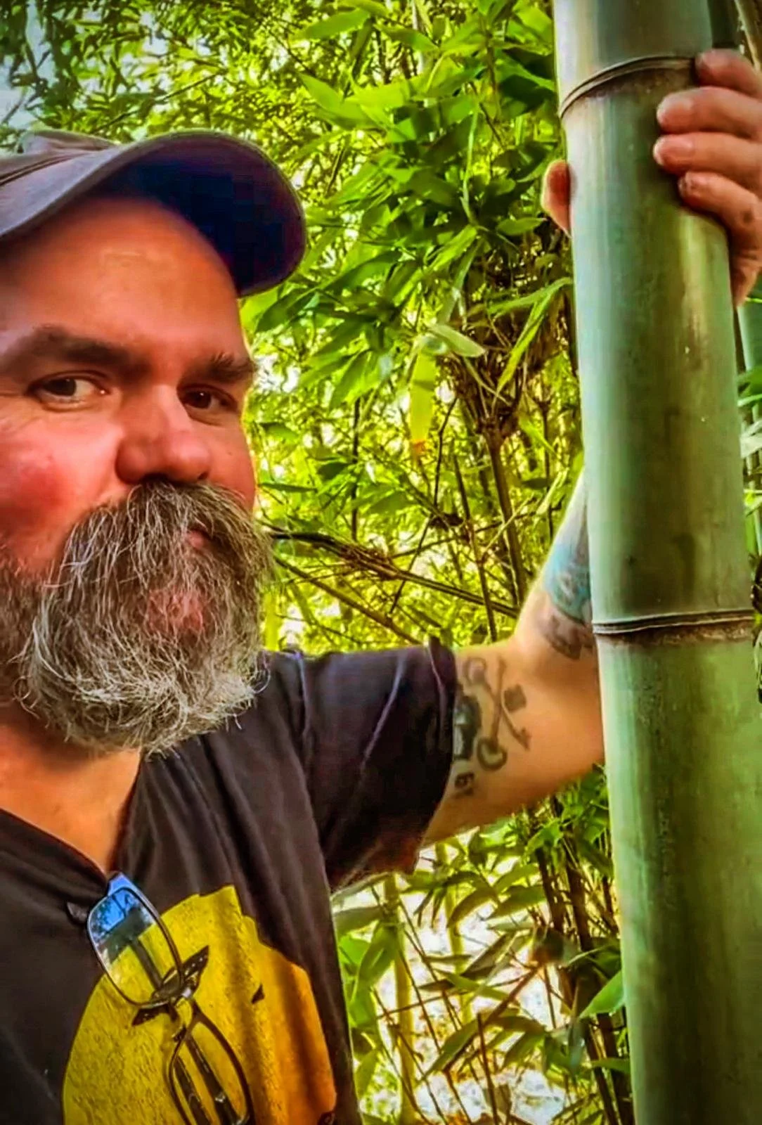 How Fucking To~ Fire Cure Bamboo