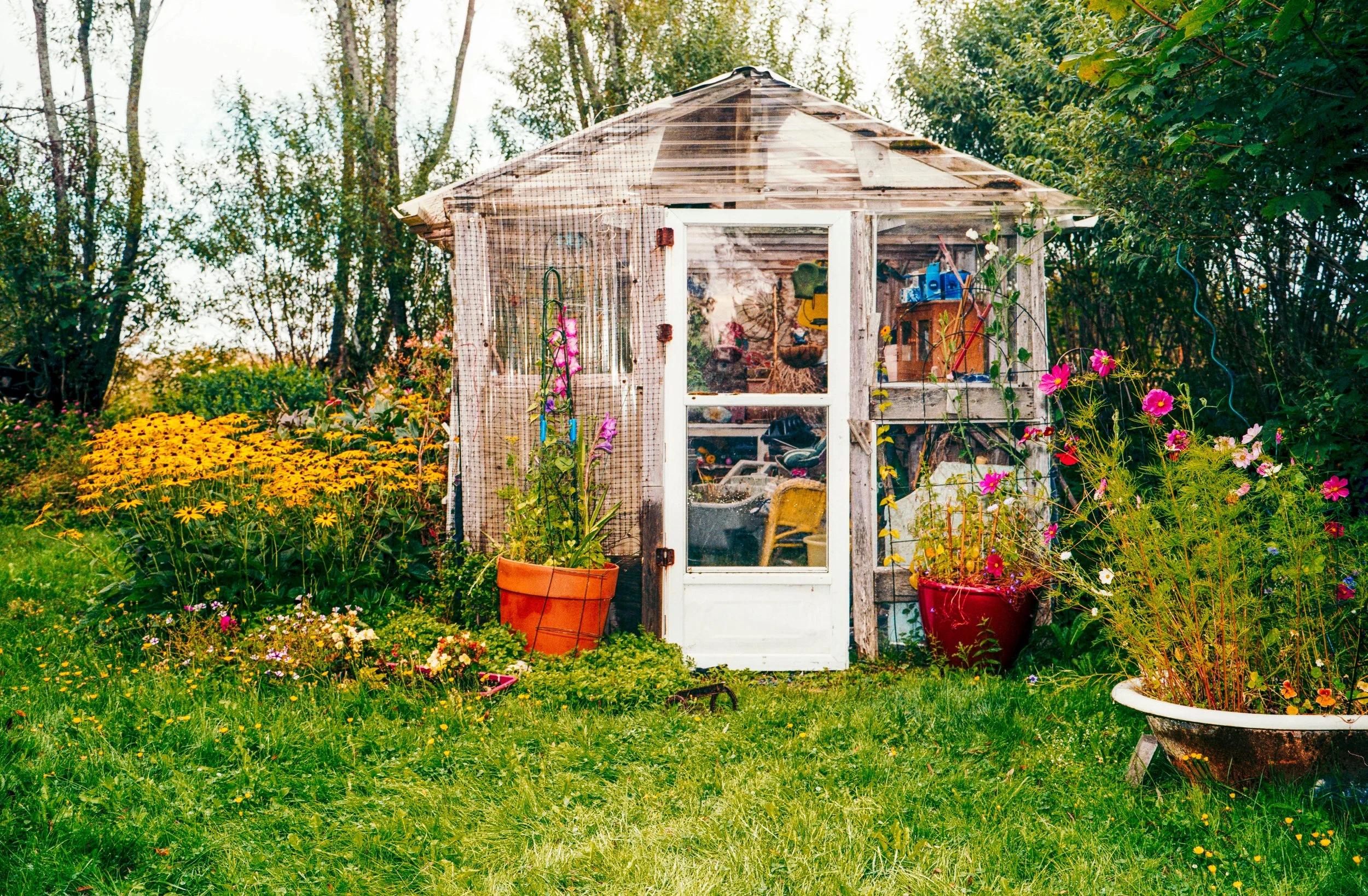 I Want For Nothing-8.jpg