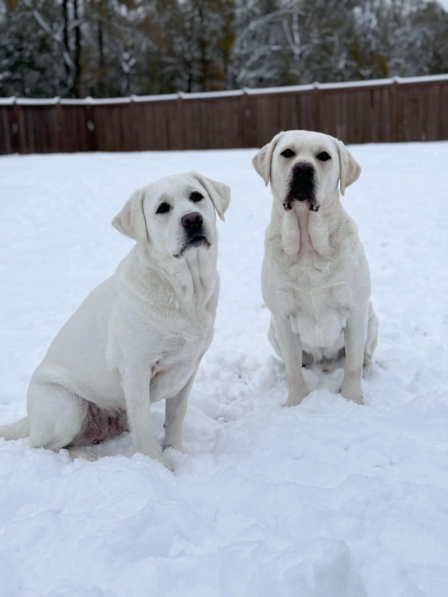 One year ago today &amp; a day we will never forget. 🤍This &ldquo;once in a lifetime&rdquo; Louisiana snow last year was something truly out of a story book. One of those moments where time stood still. Families put down all responsibilities and enj