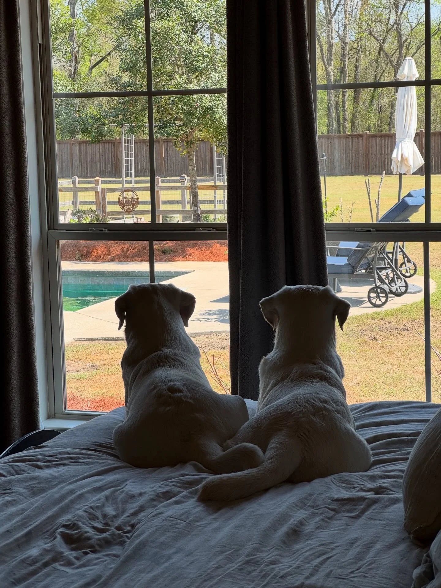 Like mother, like daughter. 💛 

These two can but heads like crazy one second, then be the best of friends the next. Doesn&rsquo;t that sound familiar?! 😂 

#likemotherlikedaughter #whitelabs #whitelablove #sunnydays #hellospring