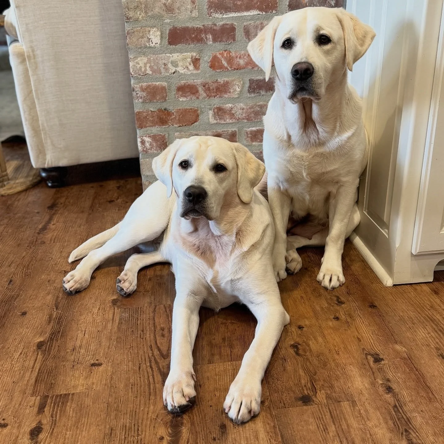 Finally got a great photo of Lainey &amp; her momma! And you&rsquo;d think by this photo they are the best of buds. But in fact Lainey gets on her last nerve at times.🥴 I guess like any kid and mother would. Lainey is usually the one to shove a toy 
