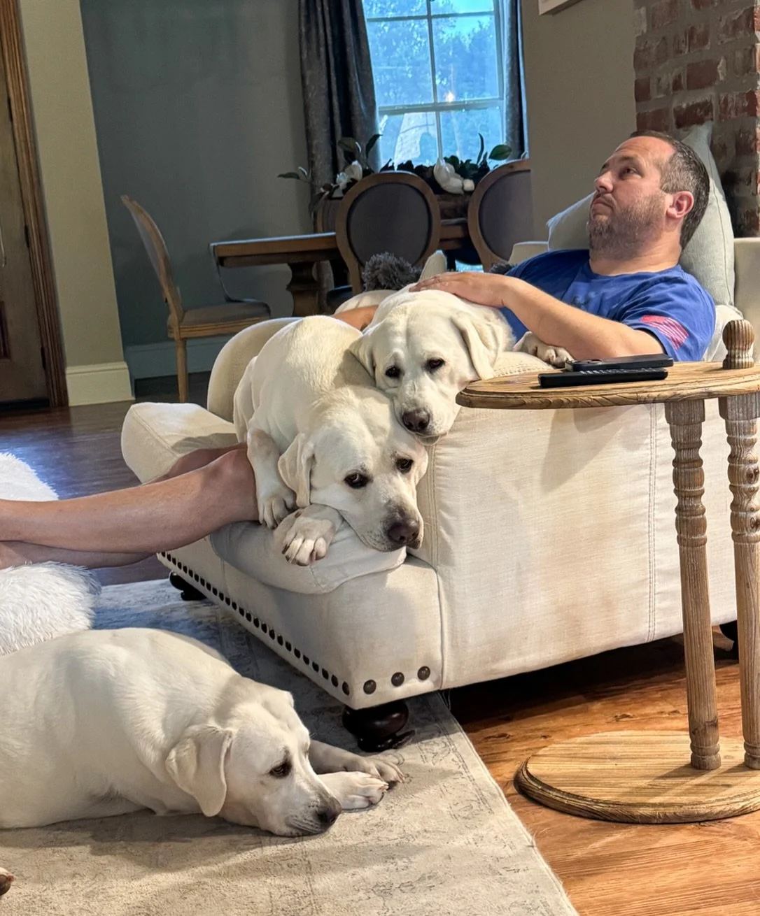 Lazy rainy Saturday with dad. 🤍🐾