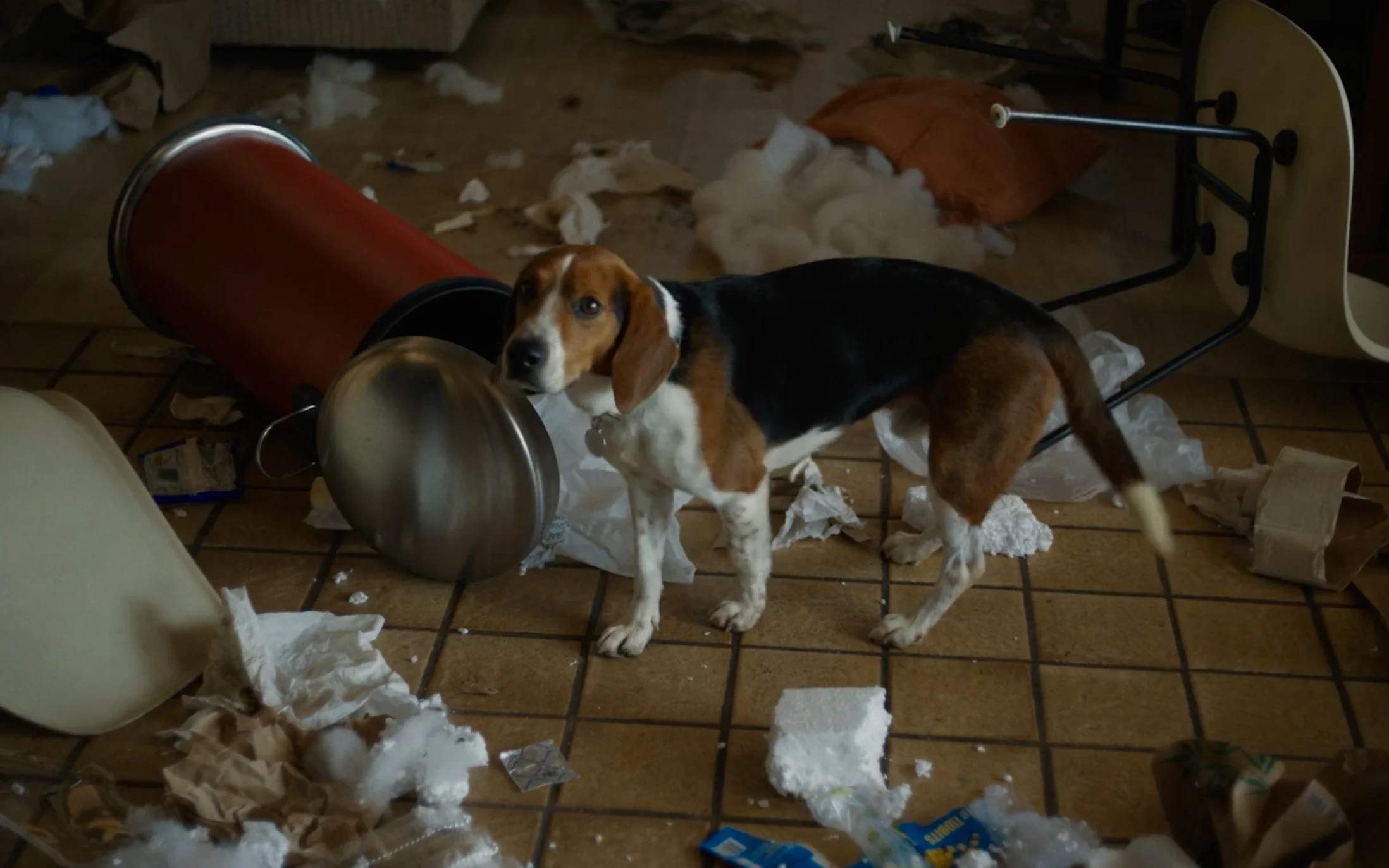 Mill: Garbage Problems “Crime Scene” :30