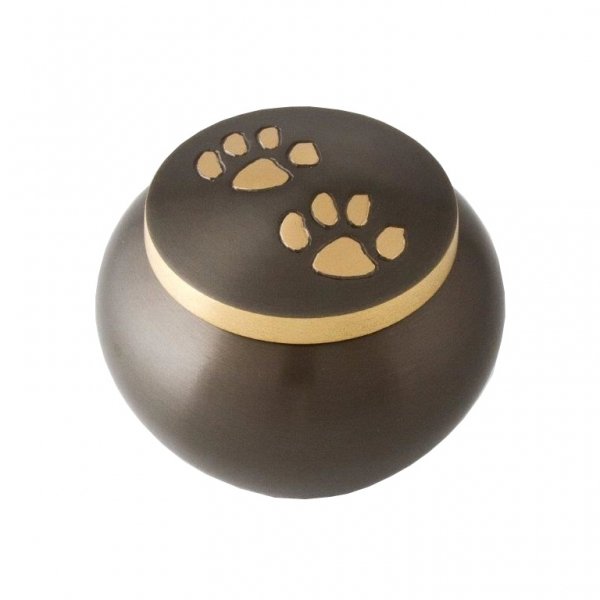 urn for pet ashes