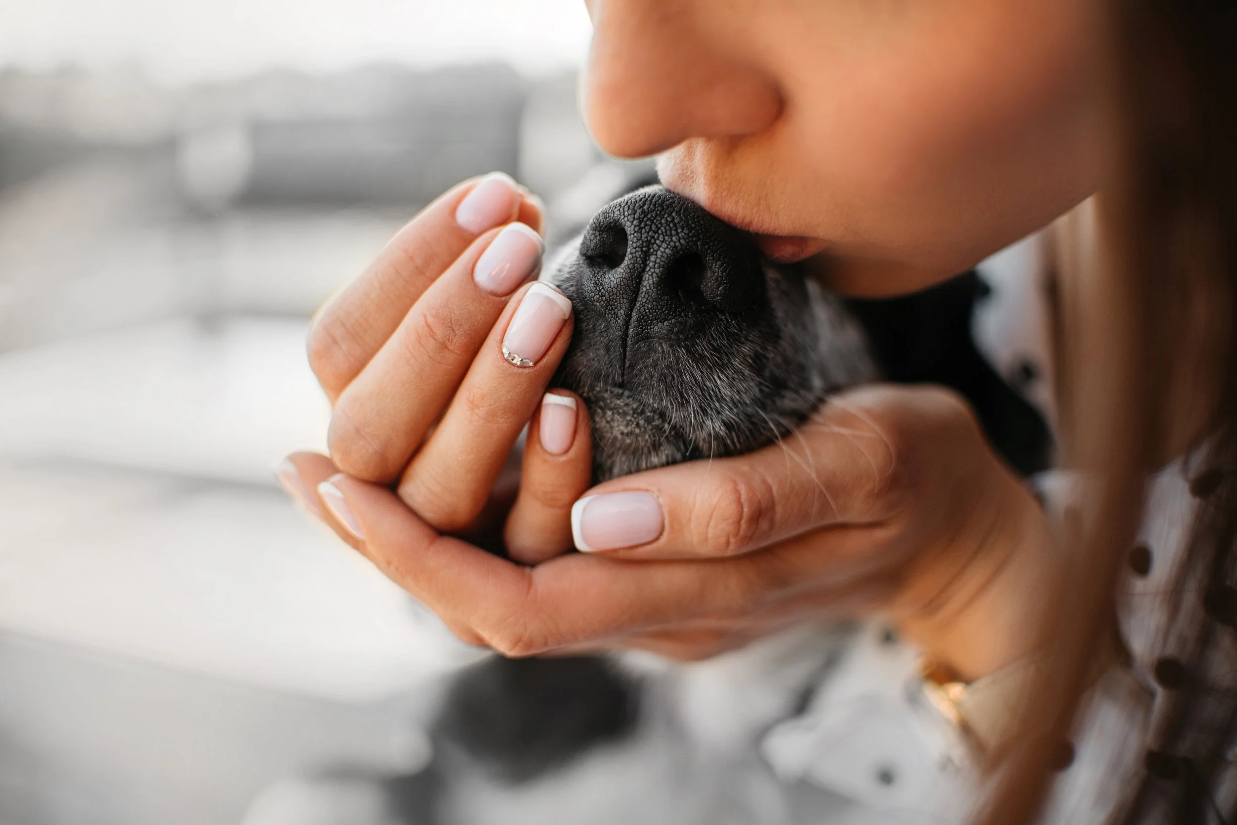 woman kissing dog on nose precious moment