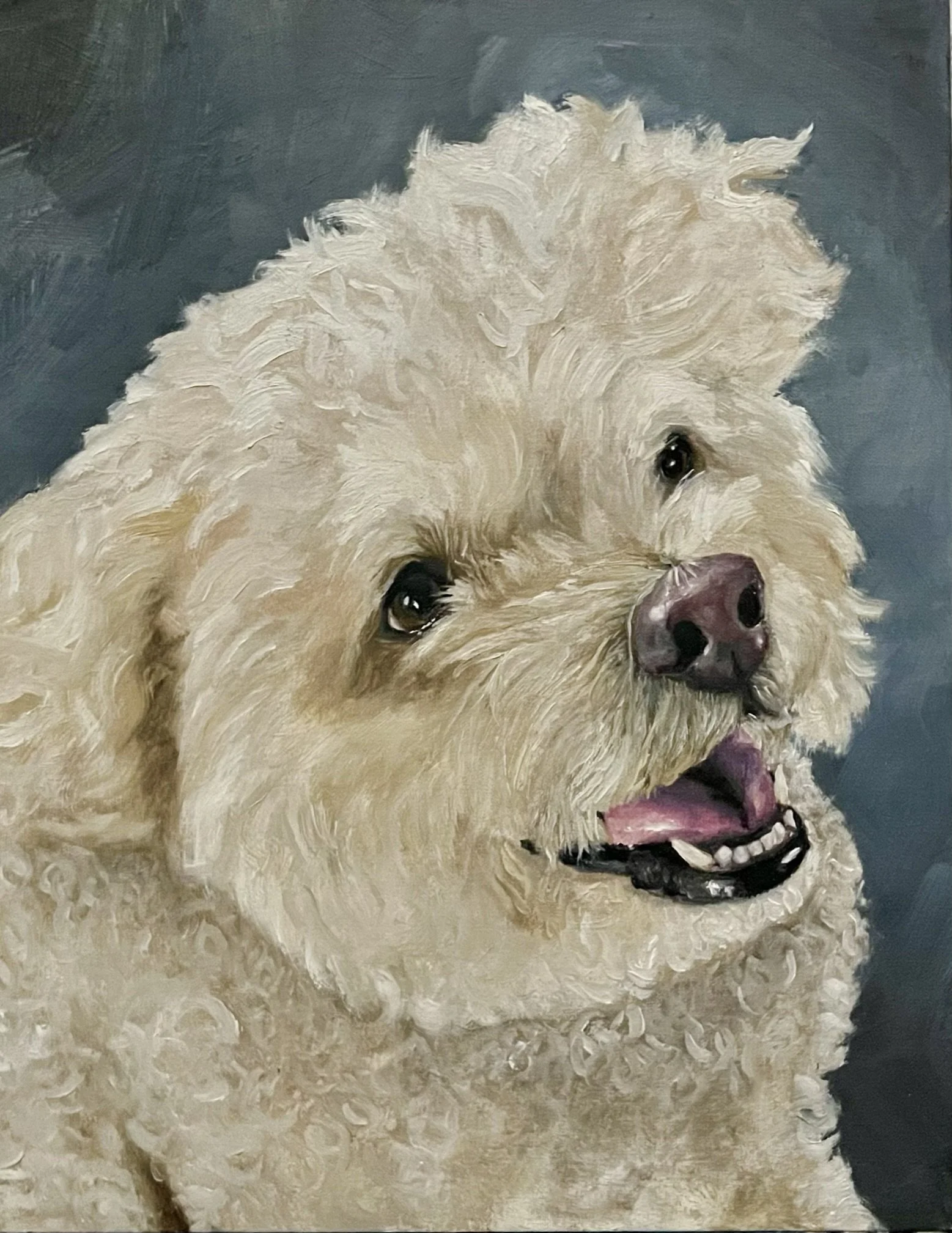 Sonny Boy | Oil on Canvas | 11 x 14 | Commissioned Portrait