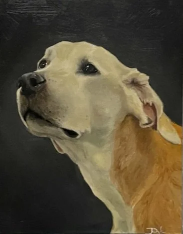 Eddie, Oil on Canvas, 11 x 14 = Commissioned Portrait