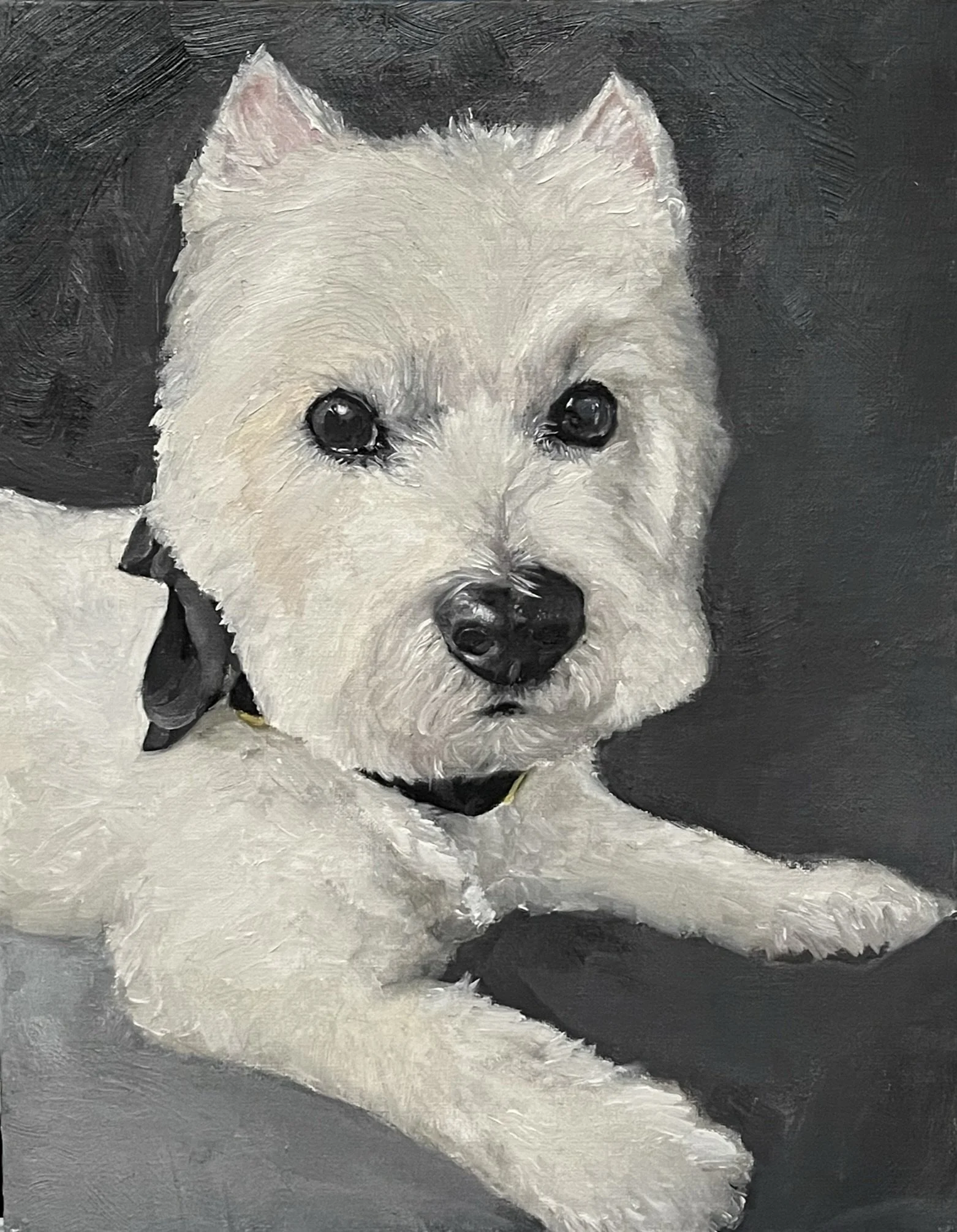 Warren, Oil on Canvas, 11 x 14 - Custom Portrait