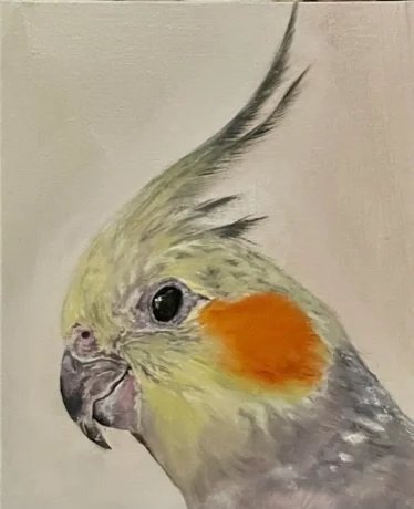 Hootie, Oil on Canvas, 8 x 10 - Commissioned Portrait