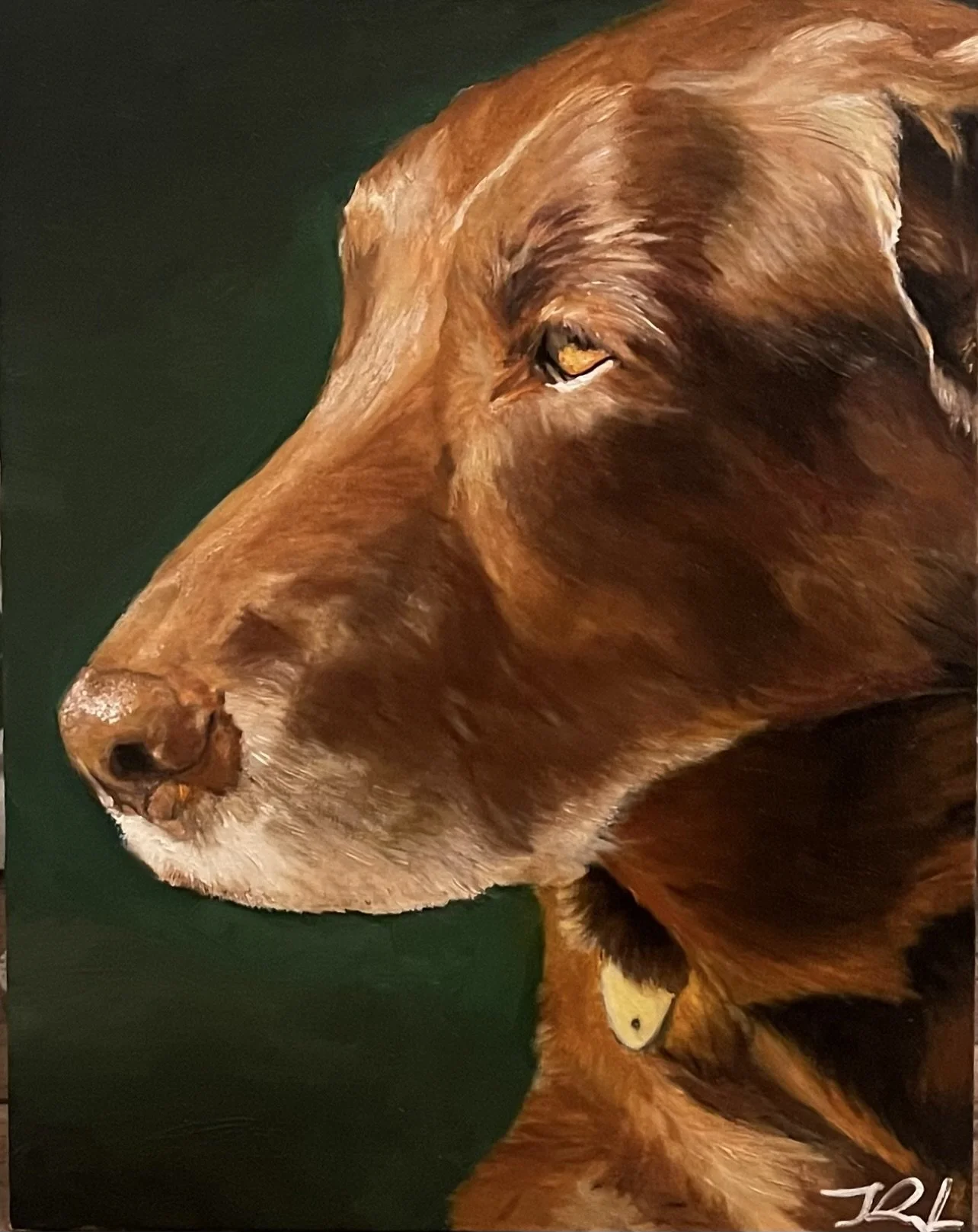 Romeo, Oil on Canvas, 11 x 14 - Commissioned Portrait