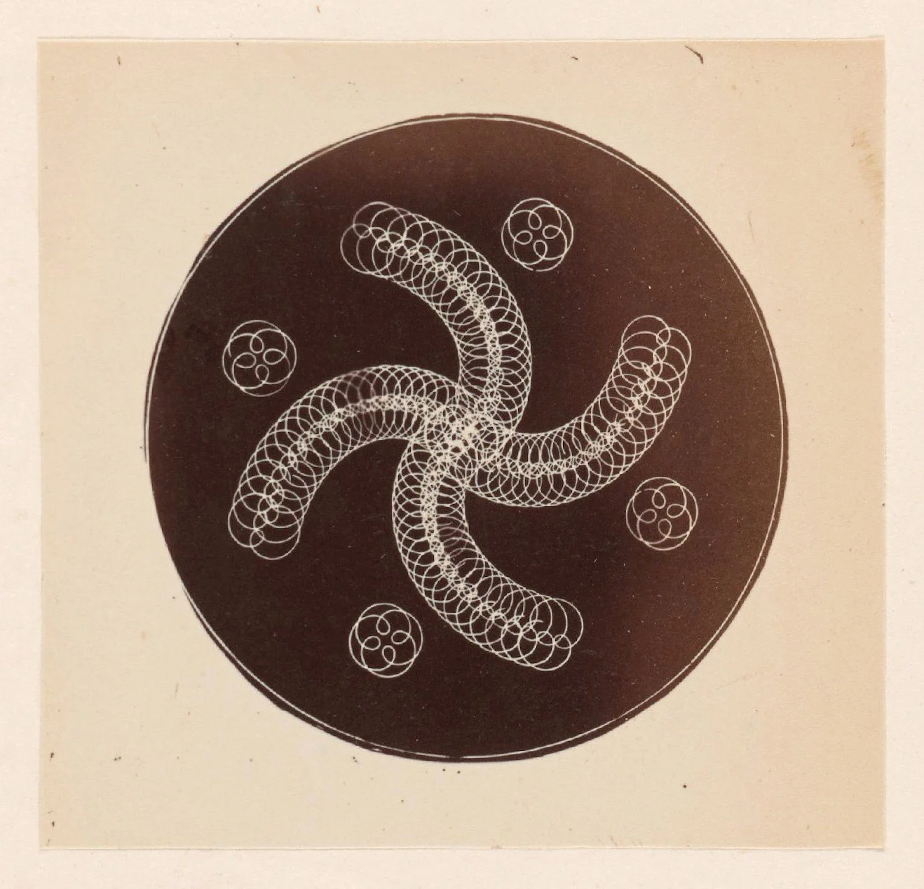 A black circular background with white geometric patterns resembling a starfish or worm with five tentacle-like legs, surrounded by five smaller circular patterns.