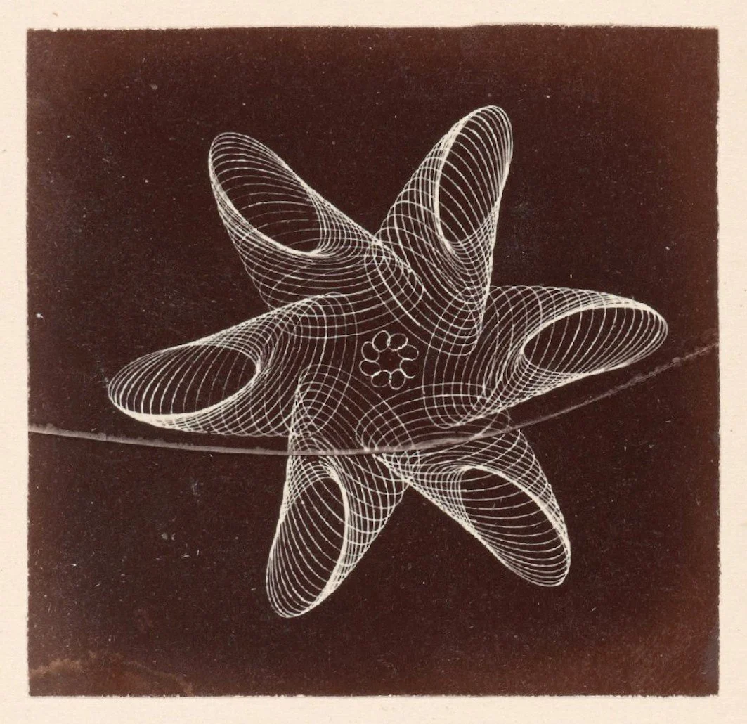 A geometrical star-shaped design with overlapping wireframe-like loops in white on a black background.