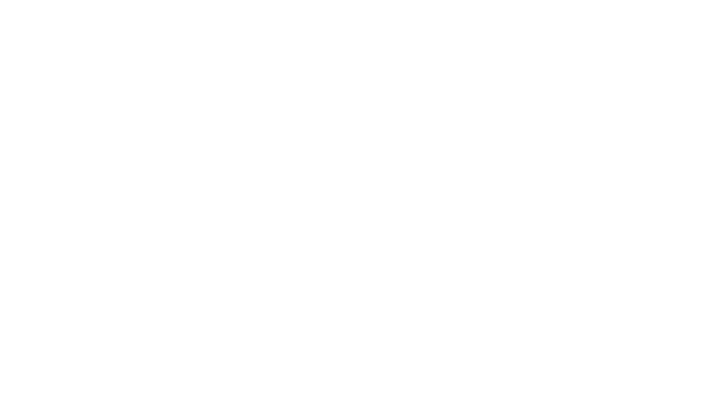 Nose2Toes Animal Rehabilitation