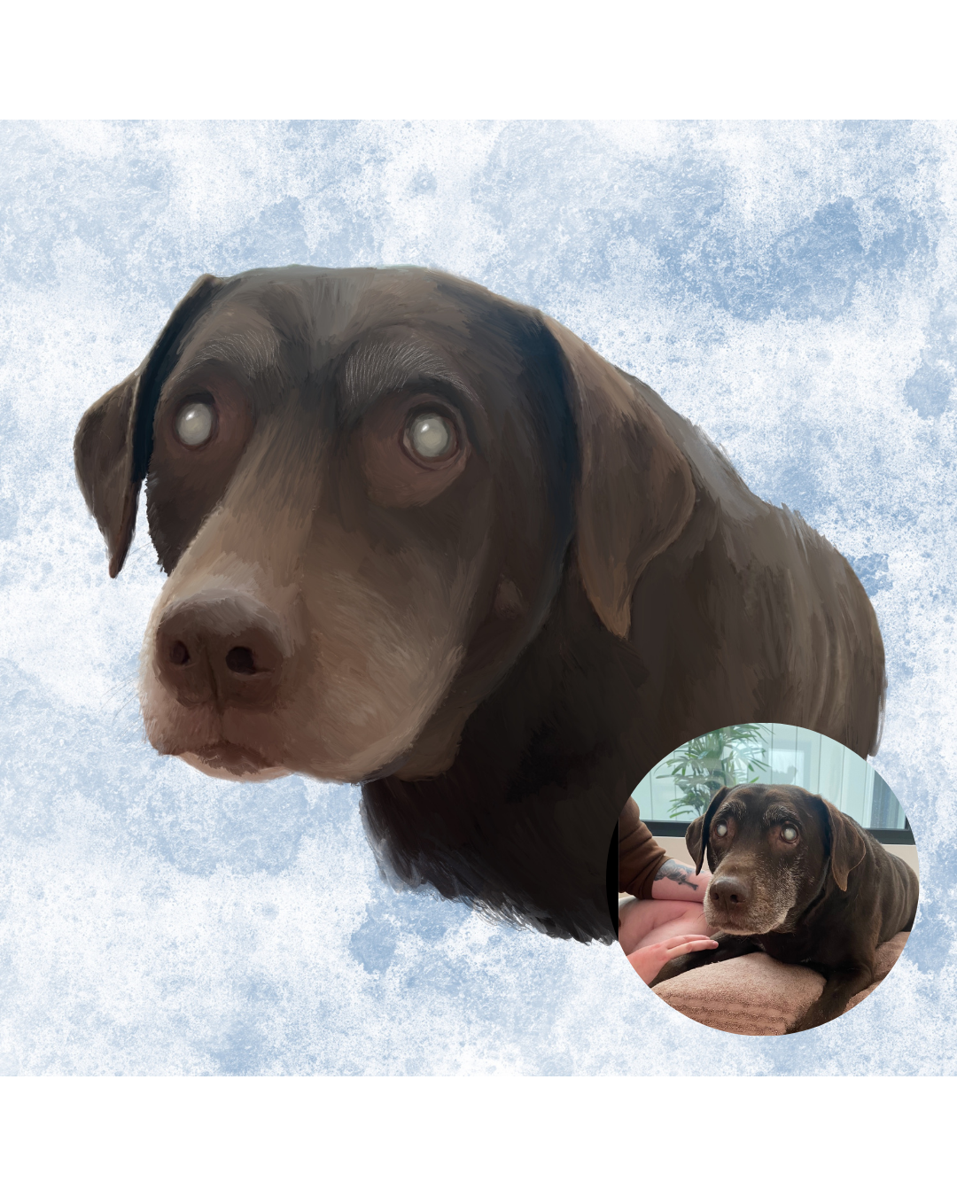 Untitled design (2).png