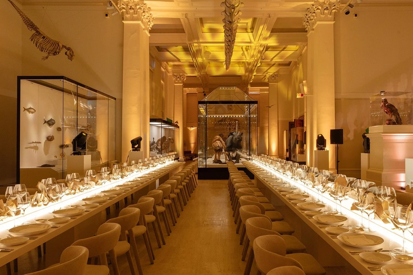 Paspaley 90 Event | Australian Museum 🦪 

Creative &amp; Event Production by @mgevents_aus