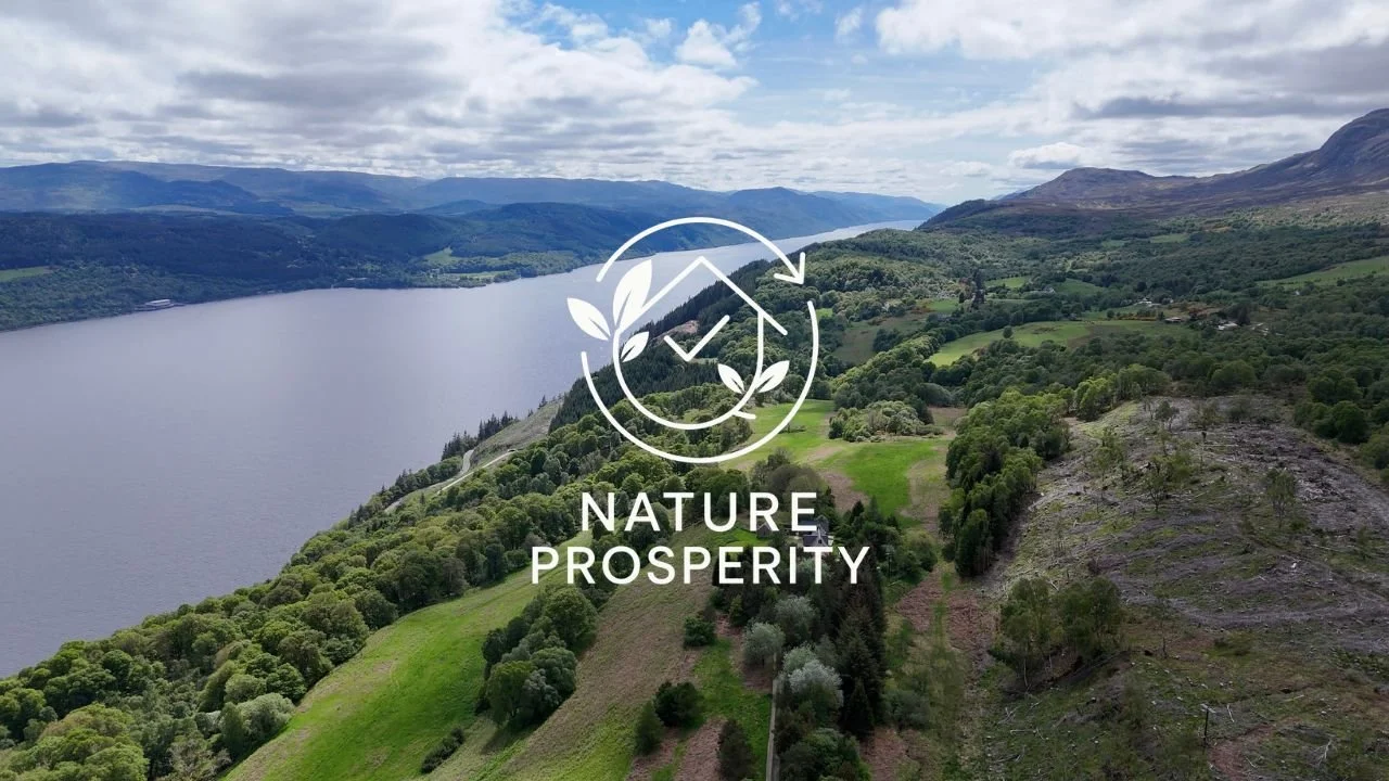 New investment company NatureProsperity launches to pair nature recovery with affordable rural homes