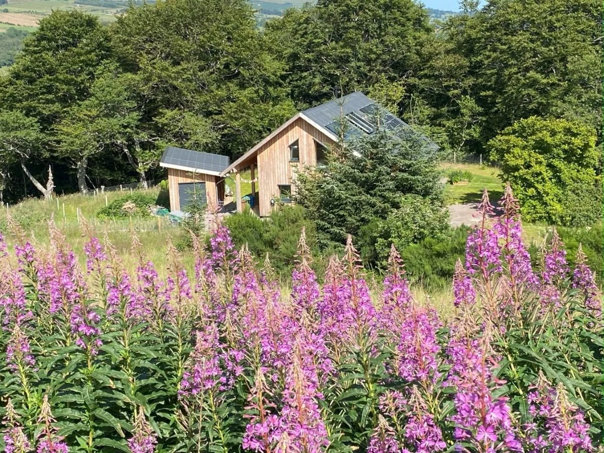 A Timber MAKAR house with solar panels on the roof surrounded by green trees and pink flowers in the foreground.