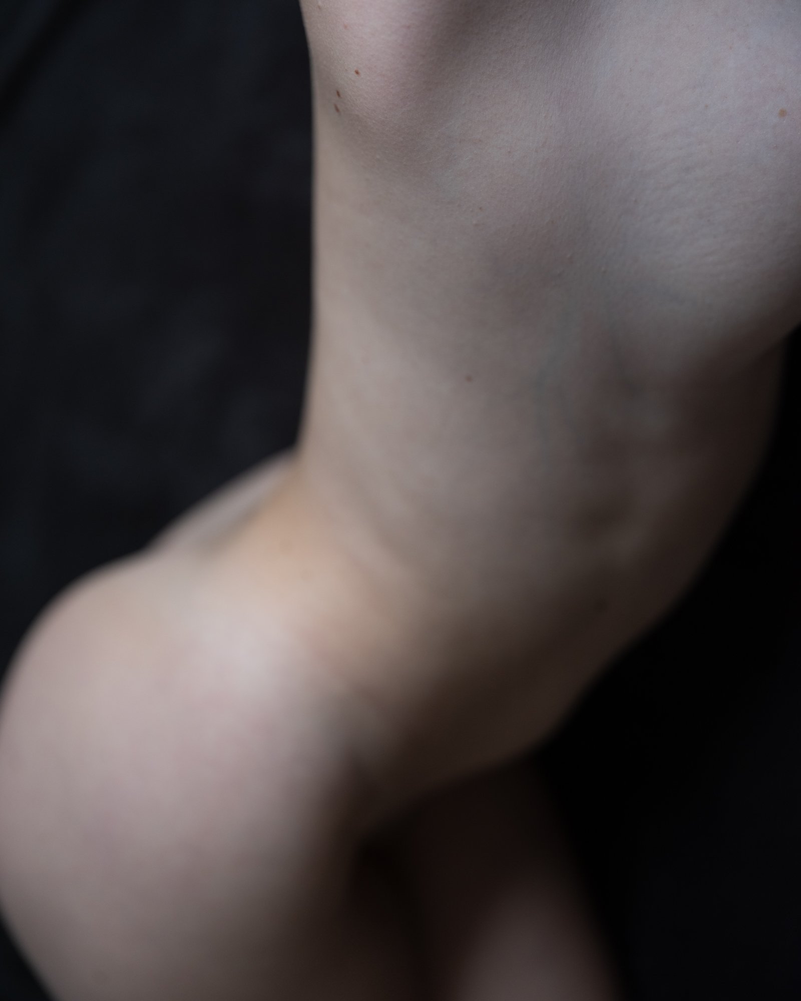 01_DVDE0282.jpg
