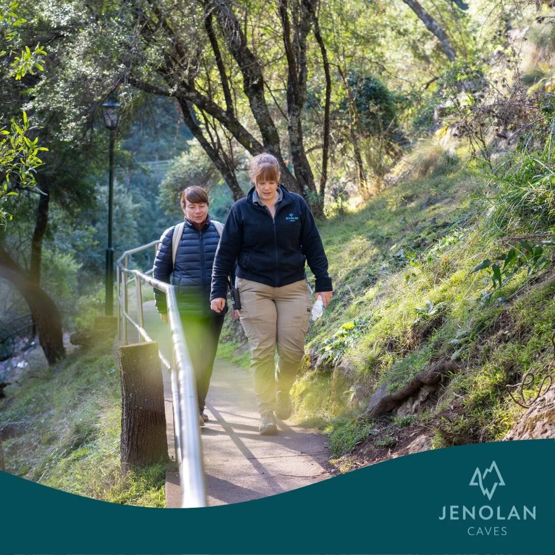 Due to the recent rainfall over the last week, we have closed some of our walking tracks for the safety of our visitors. We have encountered hazards such as falling trees and rocks.

We do have the following walking tracks open:
Six Foot Track to Car