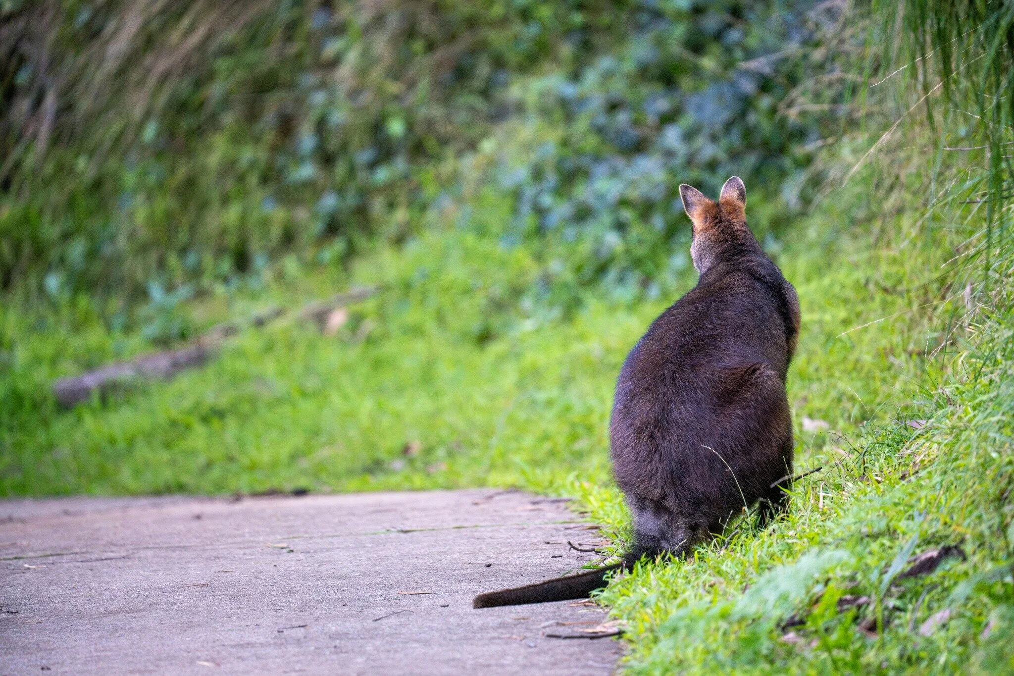 What a year 2023 was!

As we leave the year behind, let's take a moment to remember our fondest memories.

What was your favourite memory from Jenolan this year?

📸 JenolanCaves