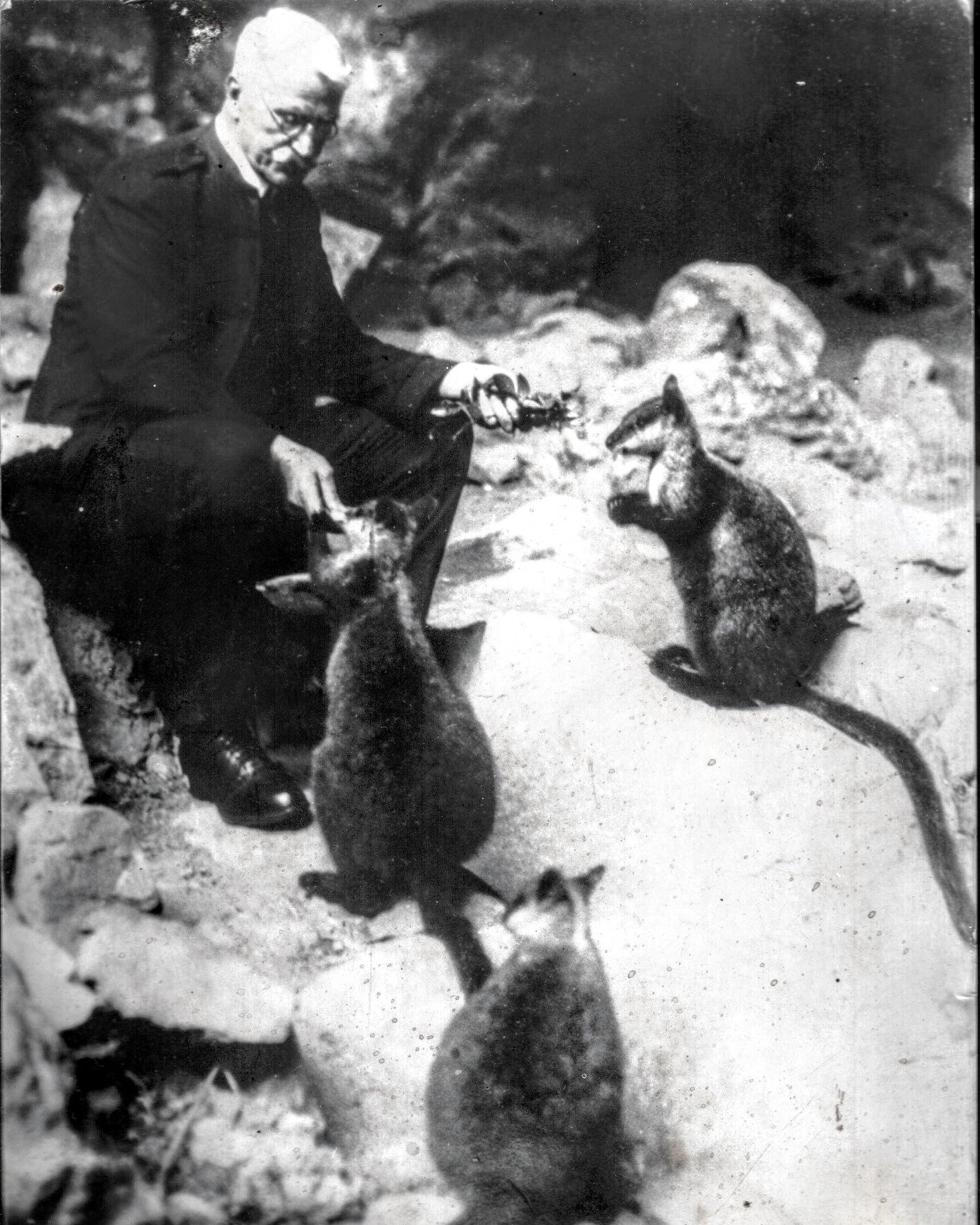 Discover the Discoverers

James Carvosso Wiburd (Voss) started as a casual guide at Jenolan in 1885 aged 19.
In 1903 he became caretaker of the caves and retired in 1932 at the age of 65.

Along with Jack Edwards (and occasionally Robert Bailey) he d