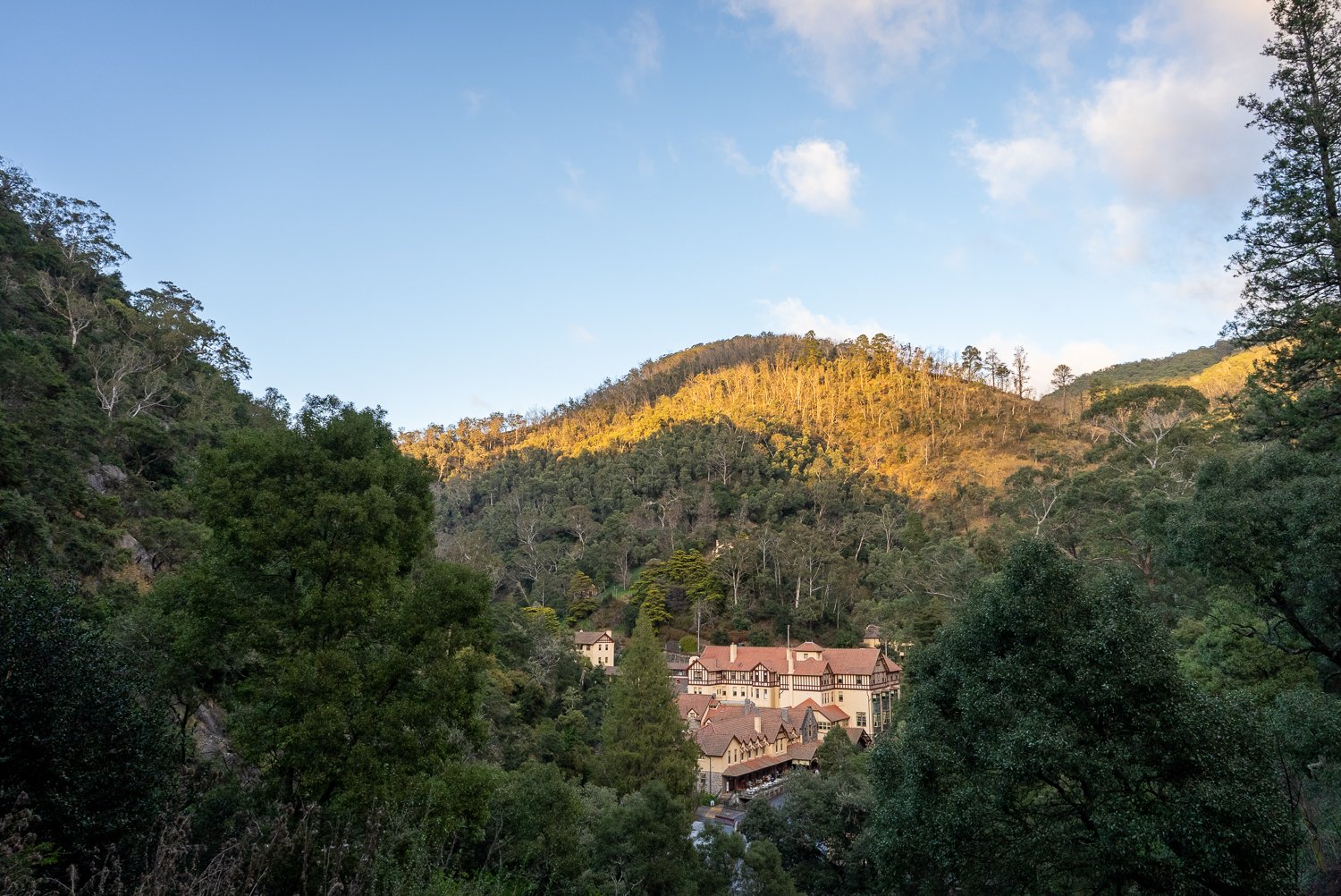 Today we celebrate World Heritage Day, also known as the International Day for Monuments and Sites. Jenolan Karst Conservation Reserve is part of the Greater Blue Mountains World Heritage Area (GBMWHA), the only karst area to be included within its b