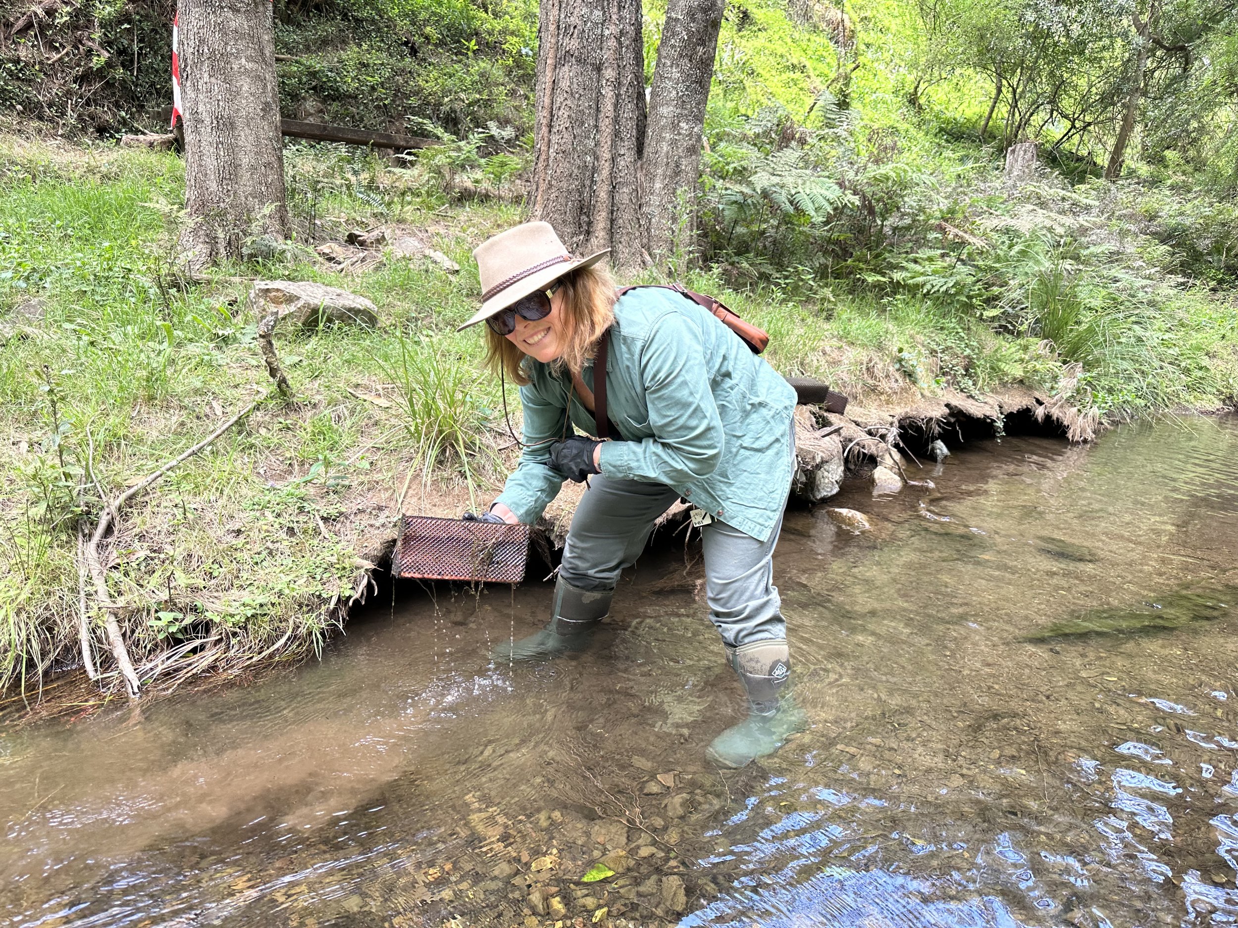 IMG_1791_Anne_Waterbug_Hotel.jpeg