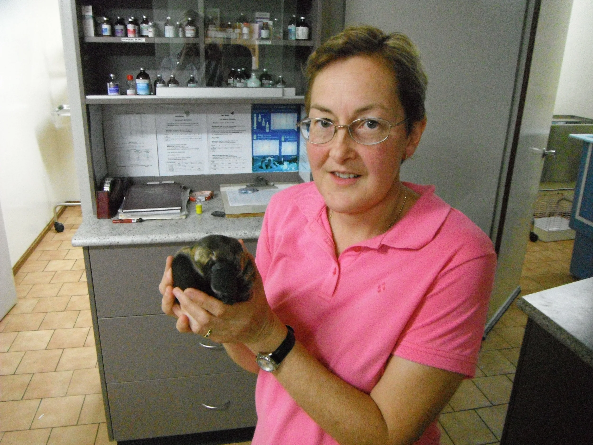Joanne Connolly with Millie the platypus.JPG