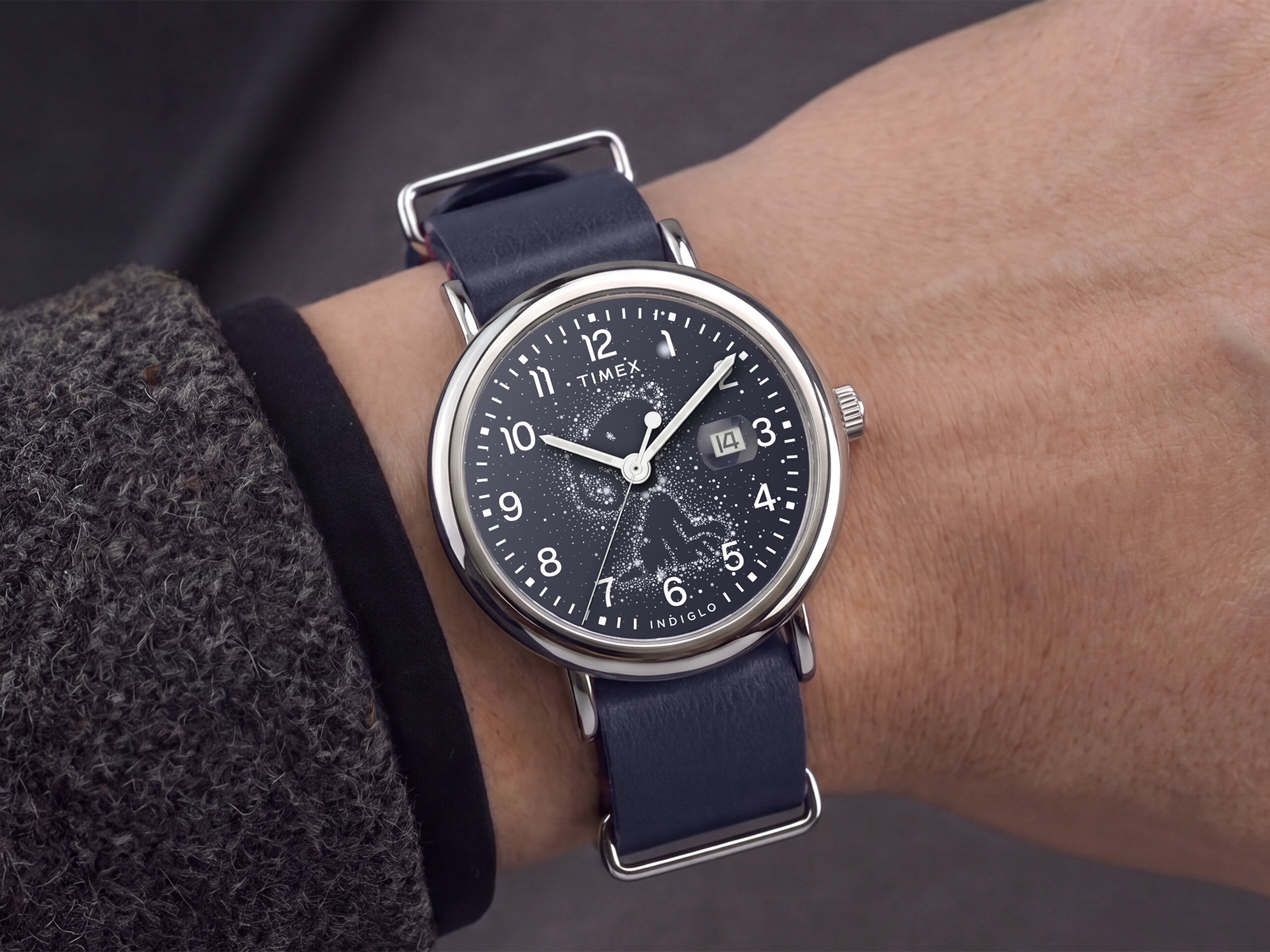 Timex 21.png