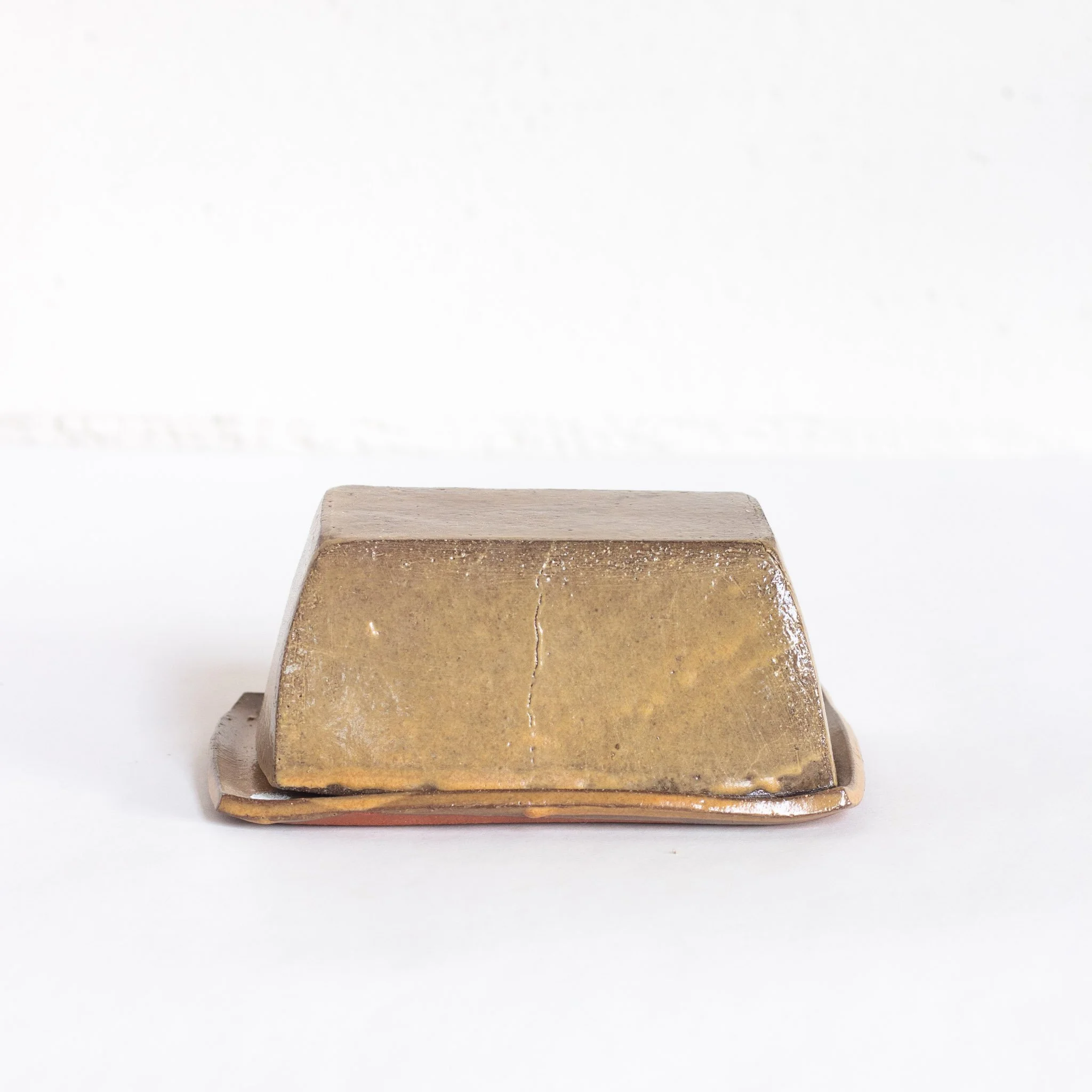 IMG_0122 beurrier jaune.jpg