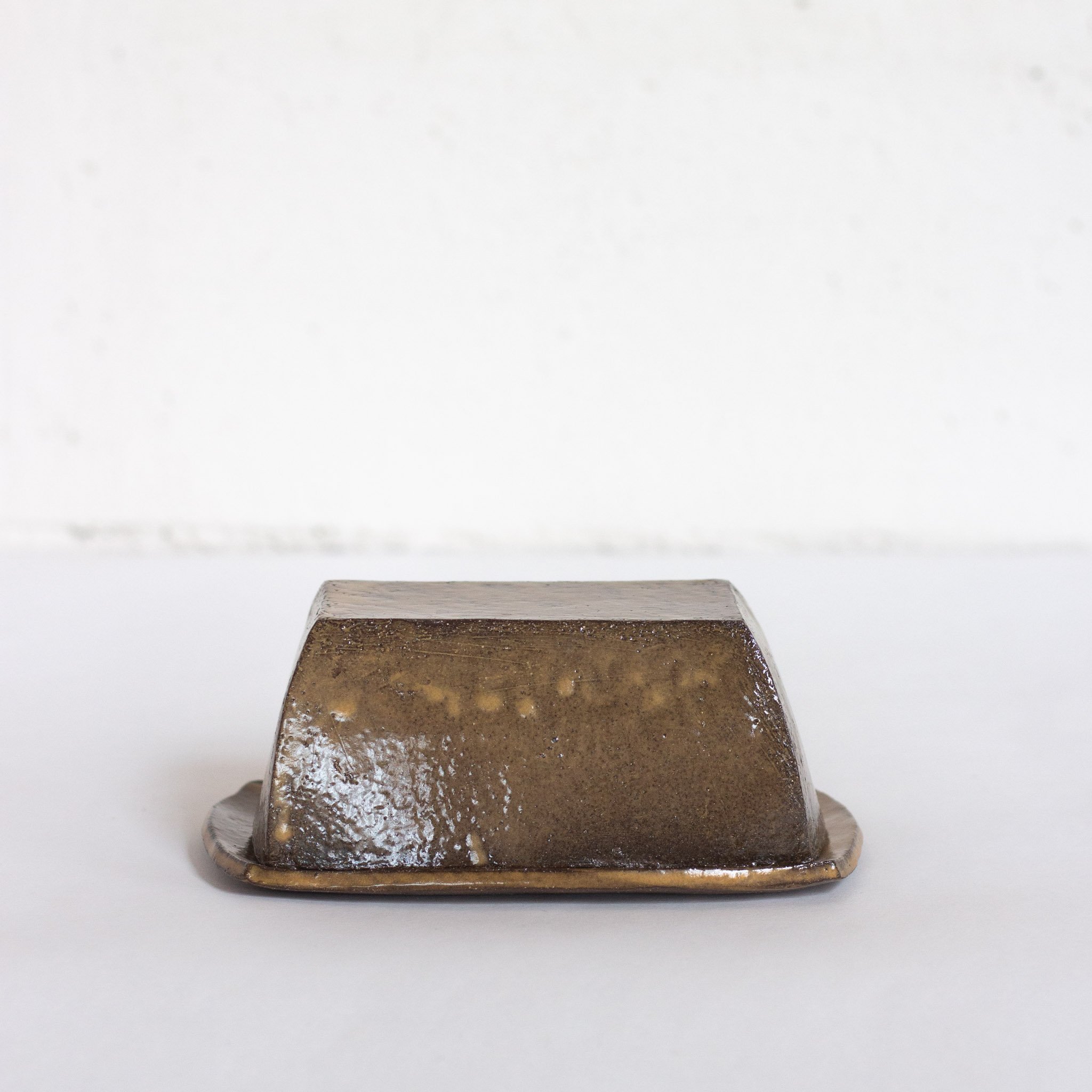 IMG_9919 beurrier jaune.jpg