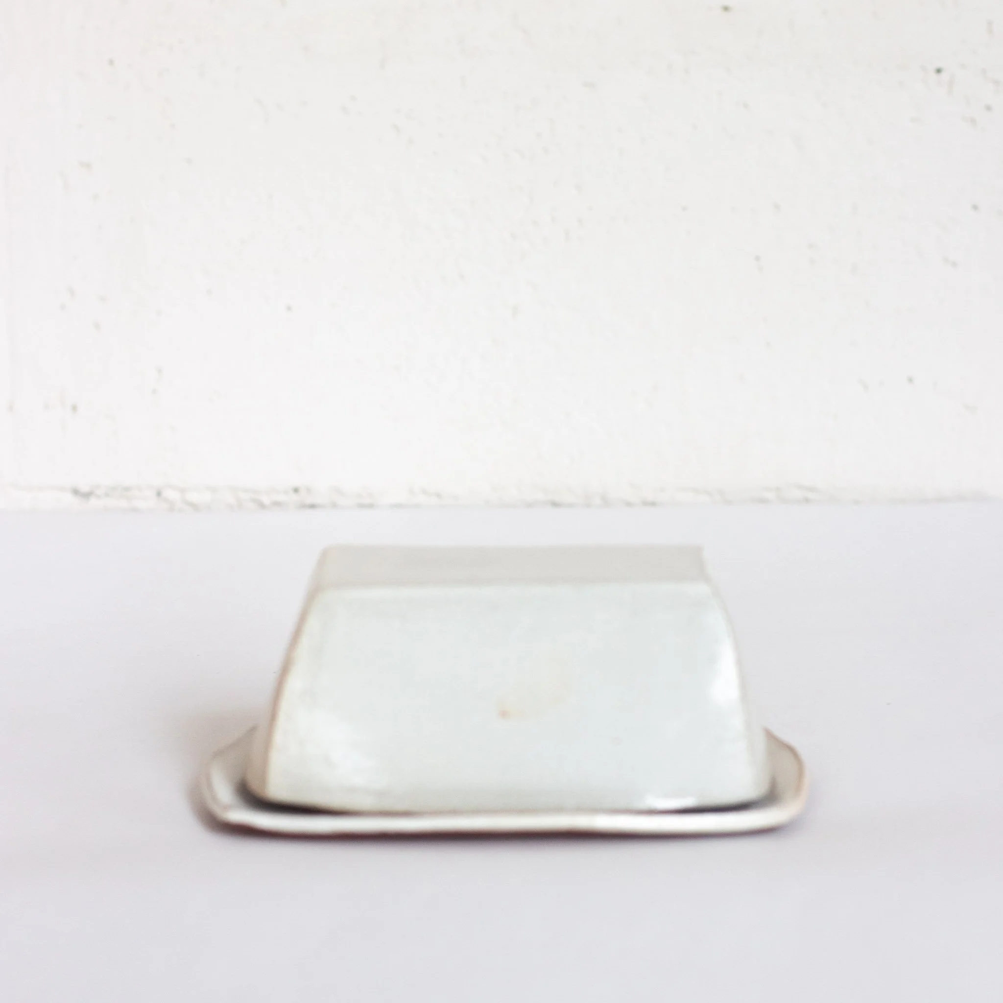 IMG_9933 beurrier blanc.jpg