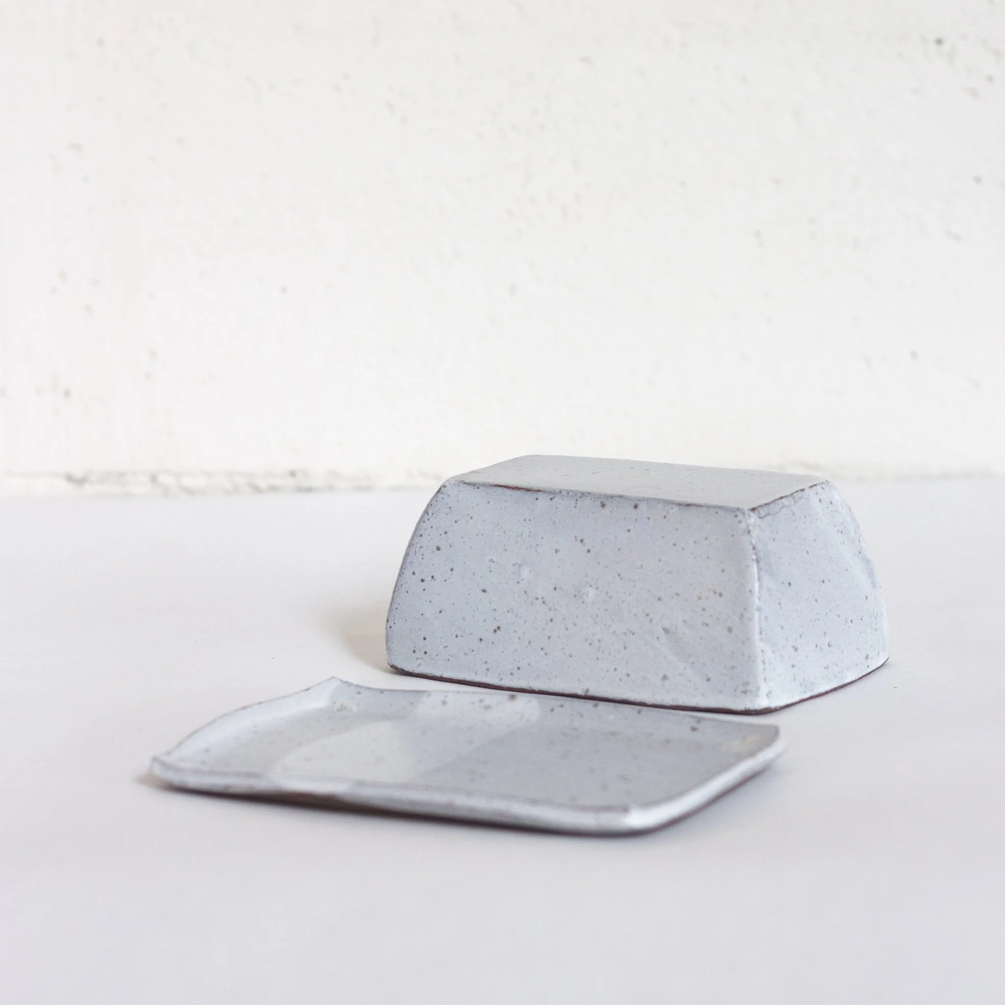 IMG_9940 beurrier gris.jpg