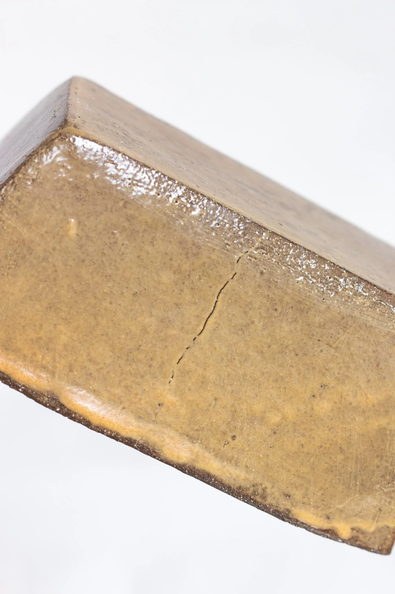 IMG_0123 beurrier jaune.jpg