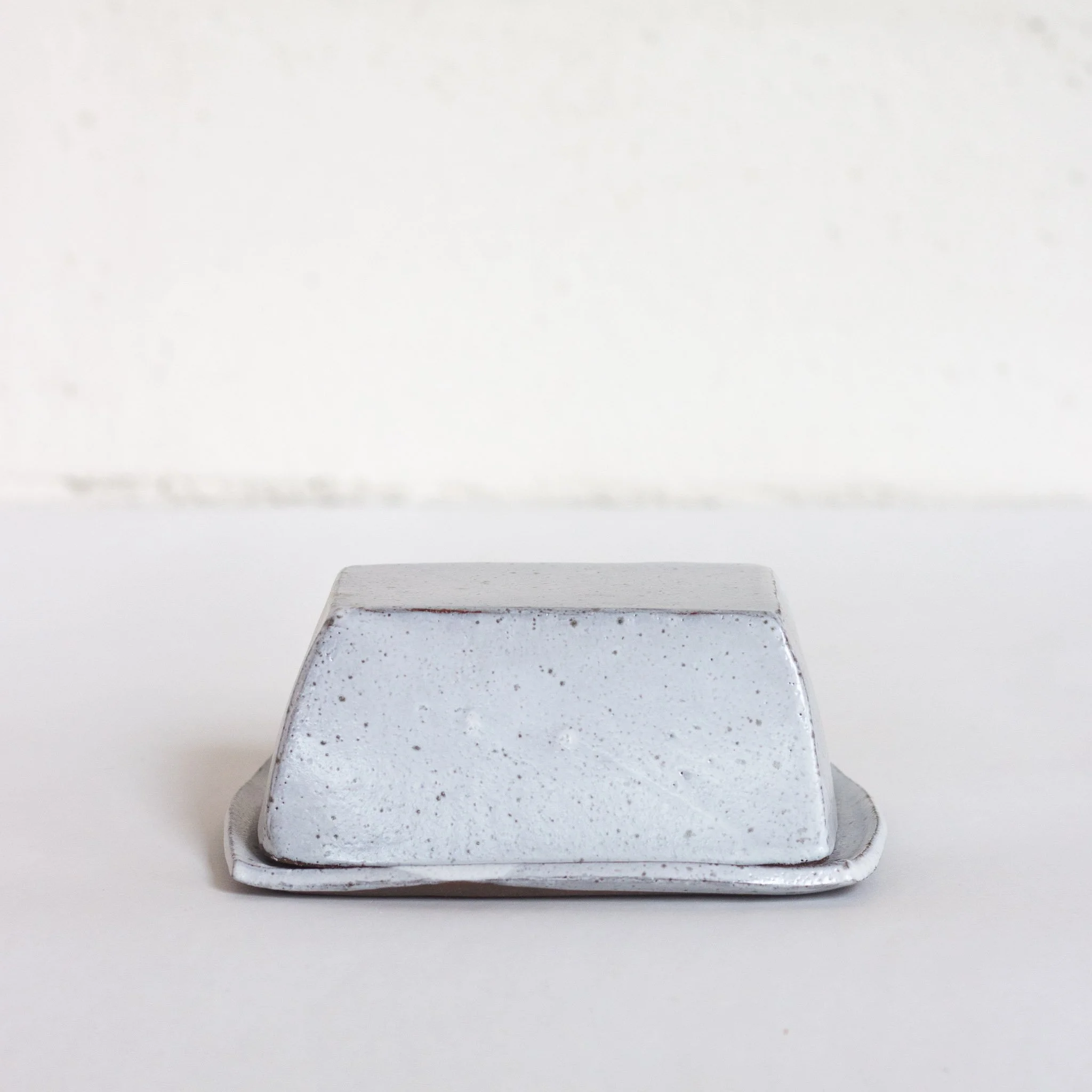 IMG_9939 beurrier gris.jpg