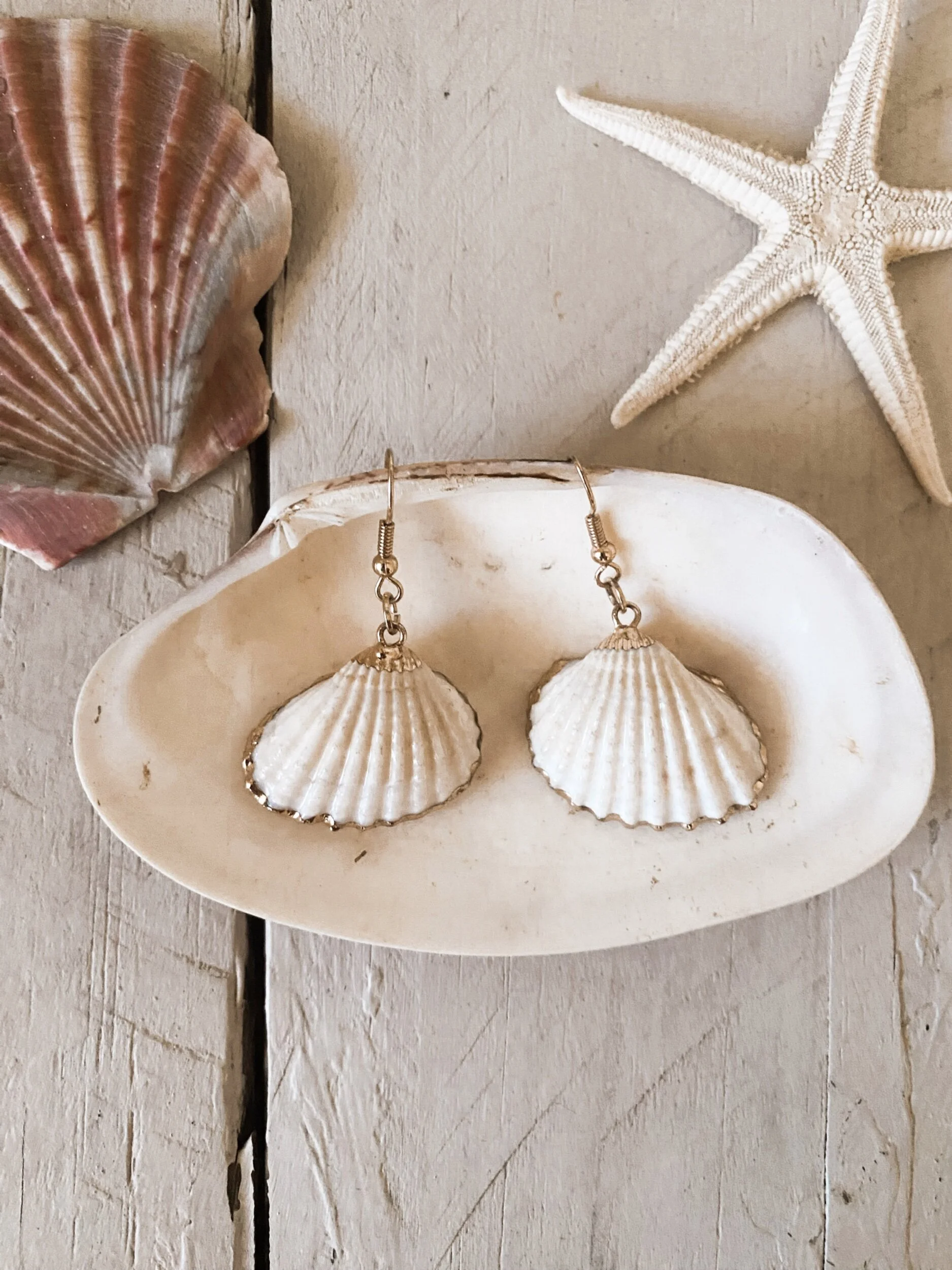 Sundayz — Sun Dayz