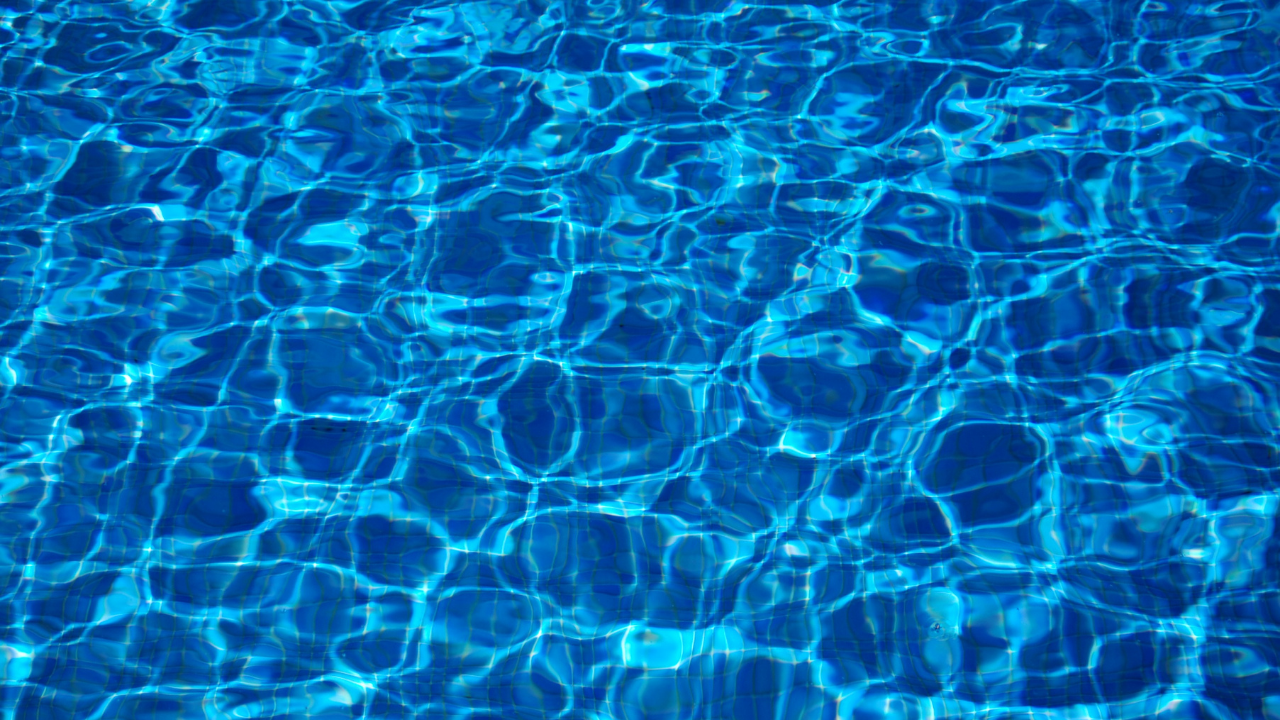Virtual Swim Squad
