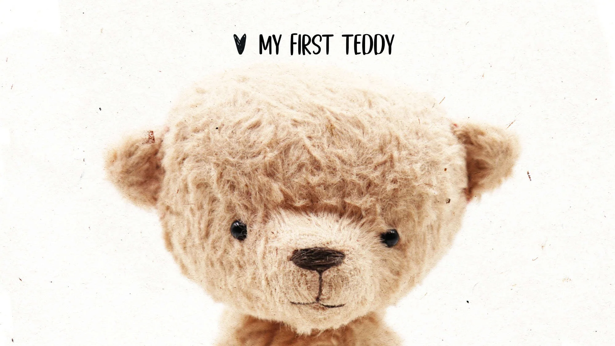 Making My First Teddy