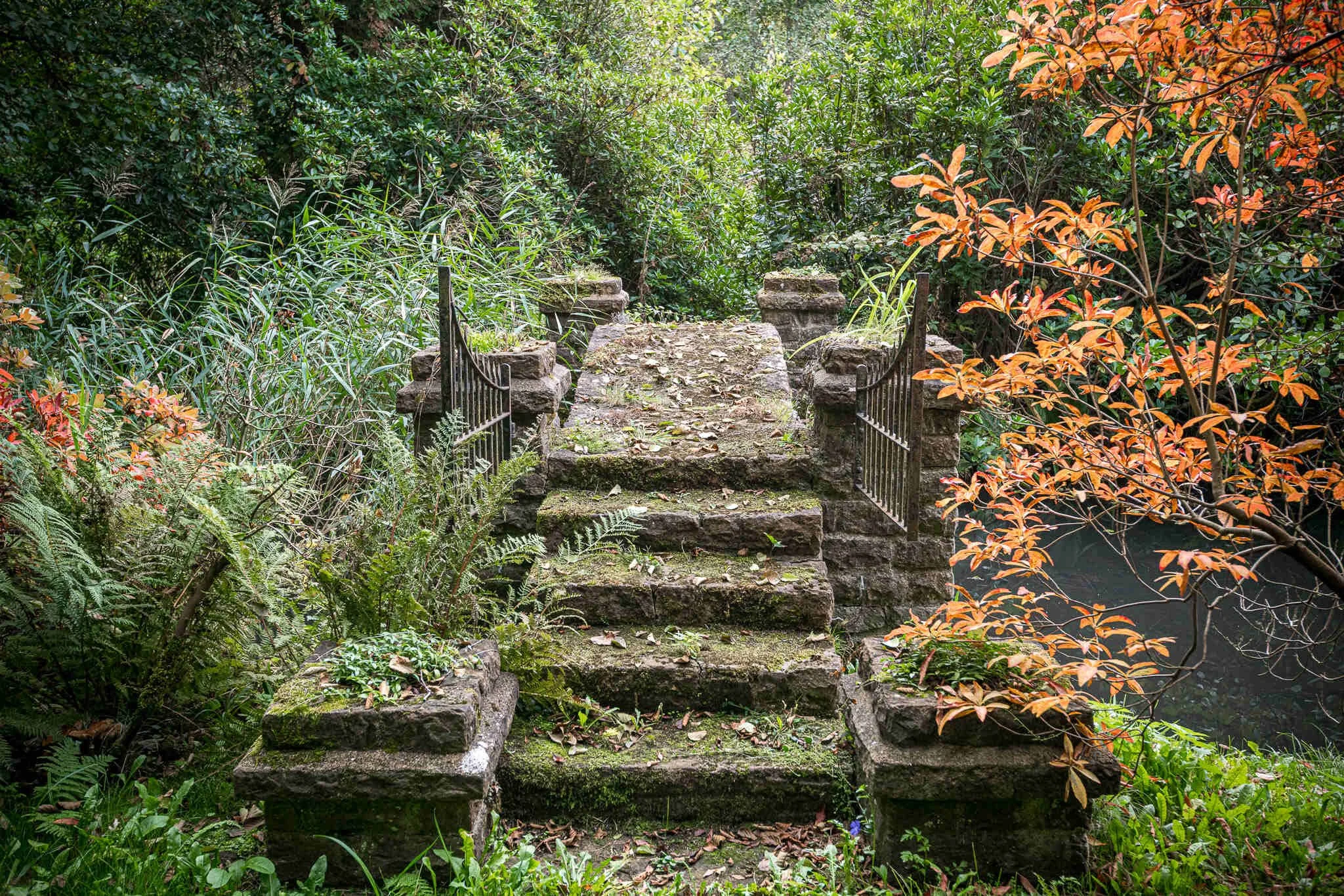 surrey-15-century-country-house-film-photo-shoot-hire-garden-steps.jpg