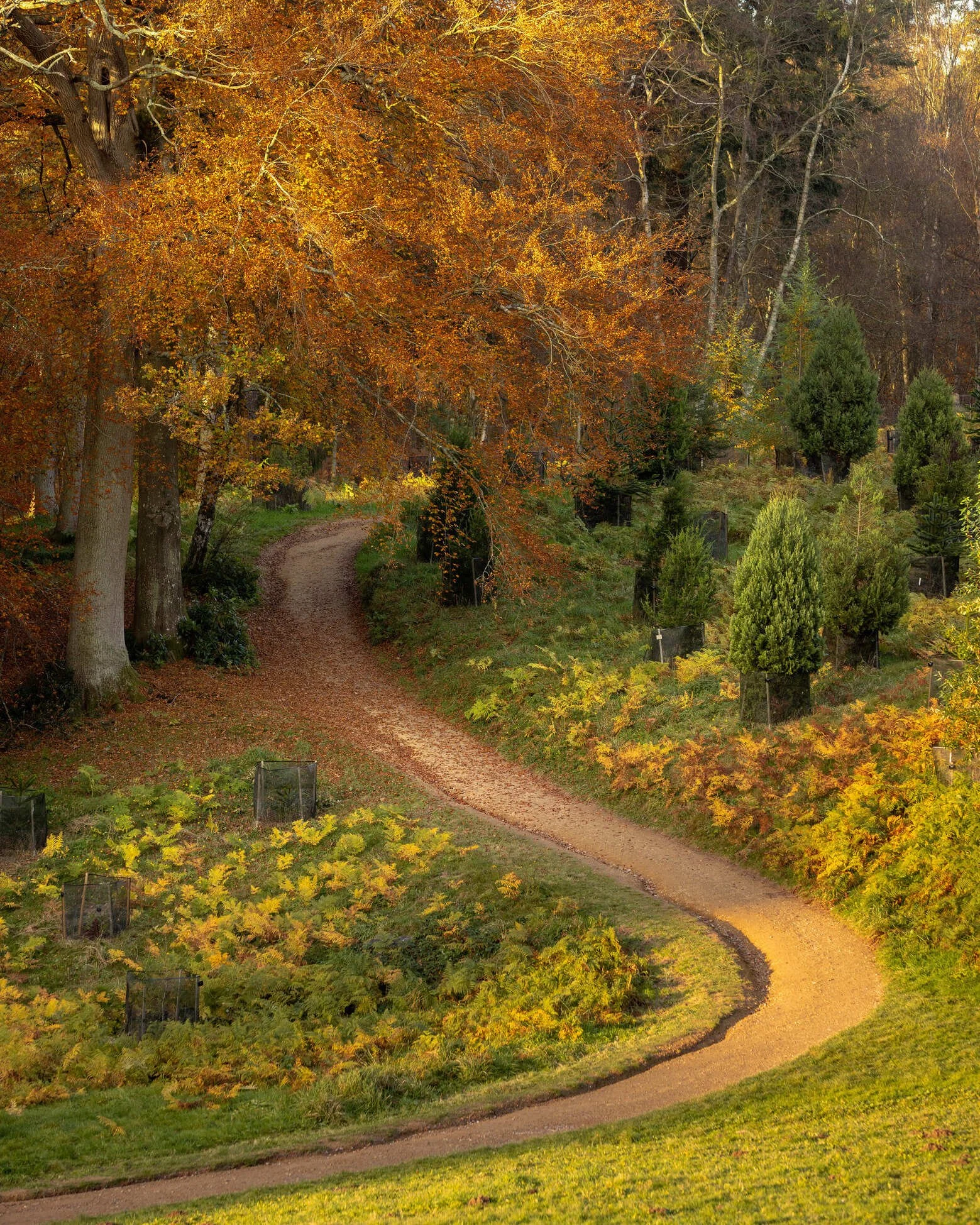 sussex-period-elizabethan-mansion-film-photo-shoot-location-unique-venue-hire-ancient-woodland.jpg