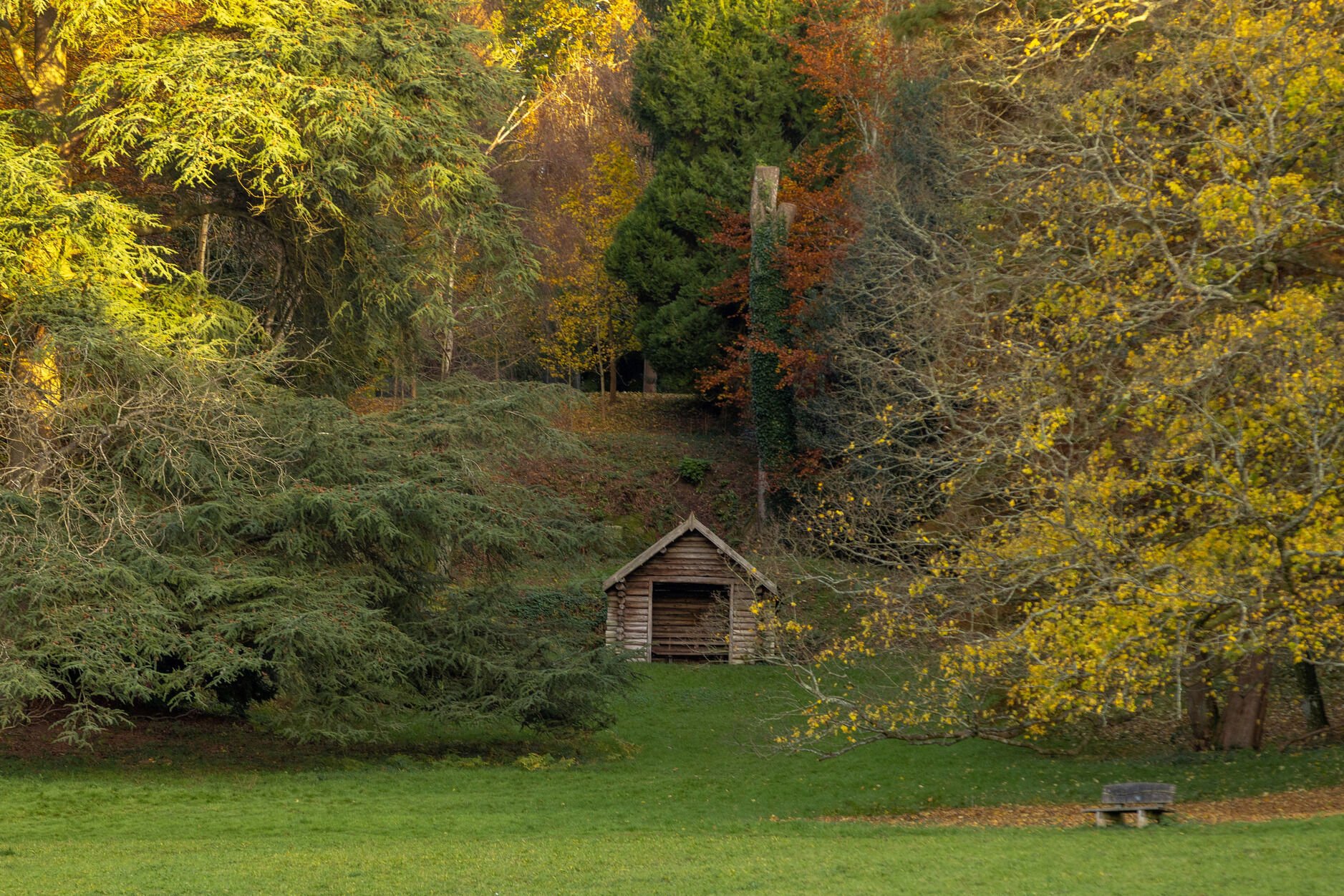 sussex-period-elizabethan-mansion-film-photo-shoot-location-unique-venue-hire-shed-woodlands.jpg