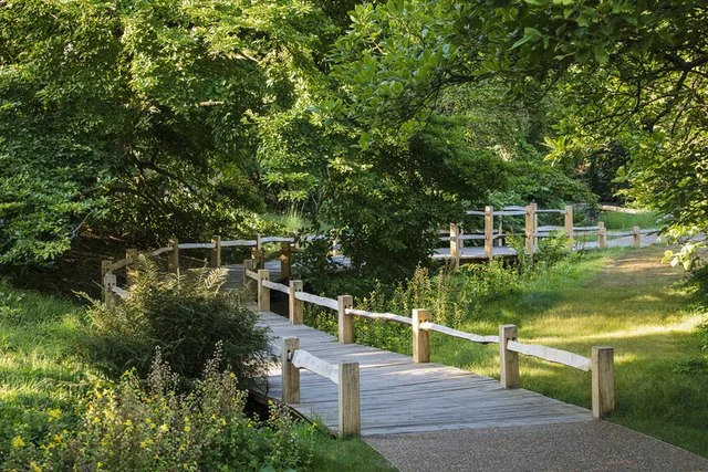 sussex-period-elizabethan-mansion-film-photo-shoot-location-unique-venue-hire-trees-boardwalks.jpg