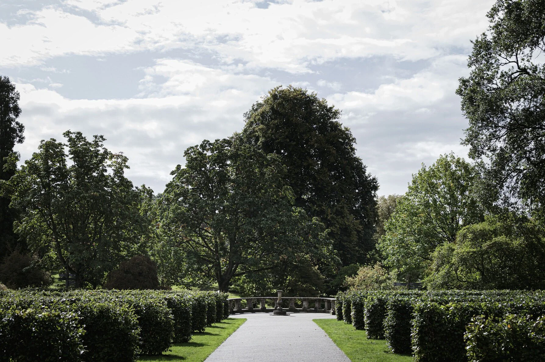 sussex-period-elizabethan-mansion-film-photo-shoot-location-unique-venue-hire-trees-hedgerow.jpg