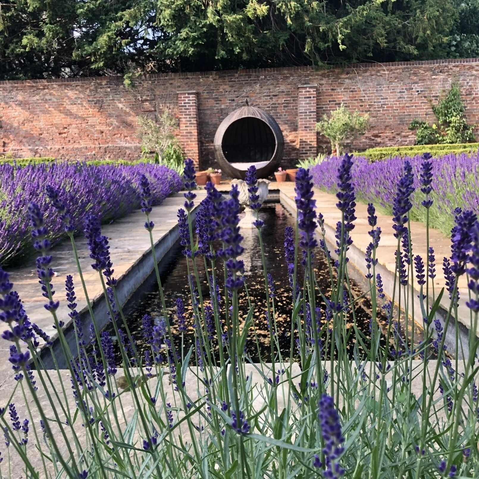 cambridgeshire-period-manor-house-film-photo-shoot-event-location-unique-venue-hire-lavendar-pond.jpg