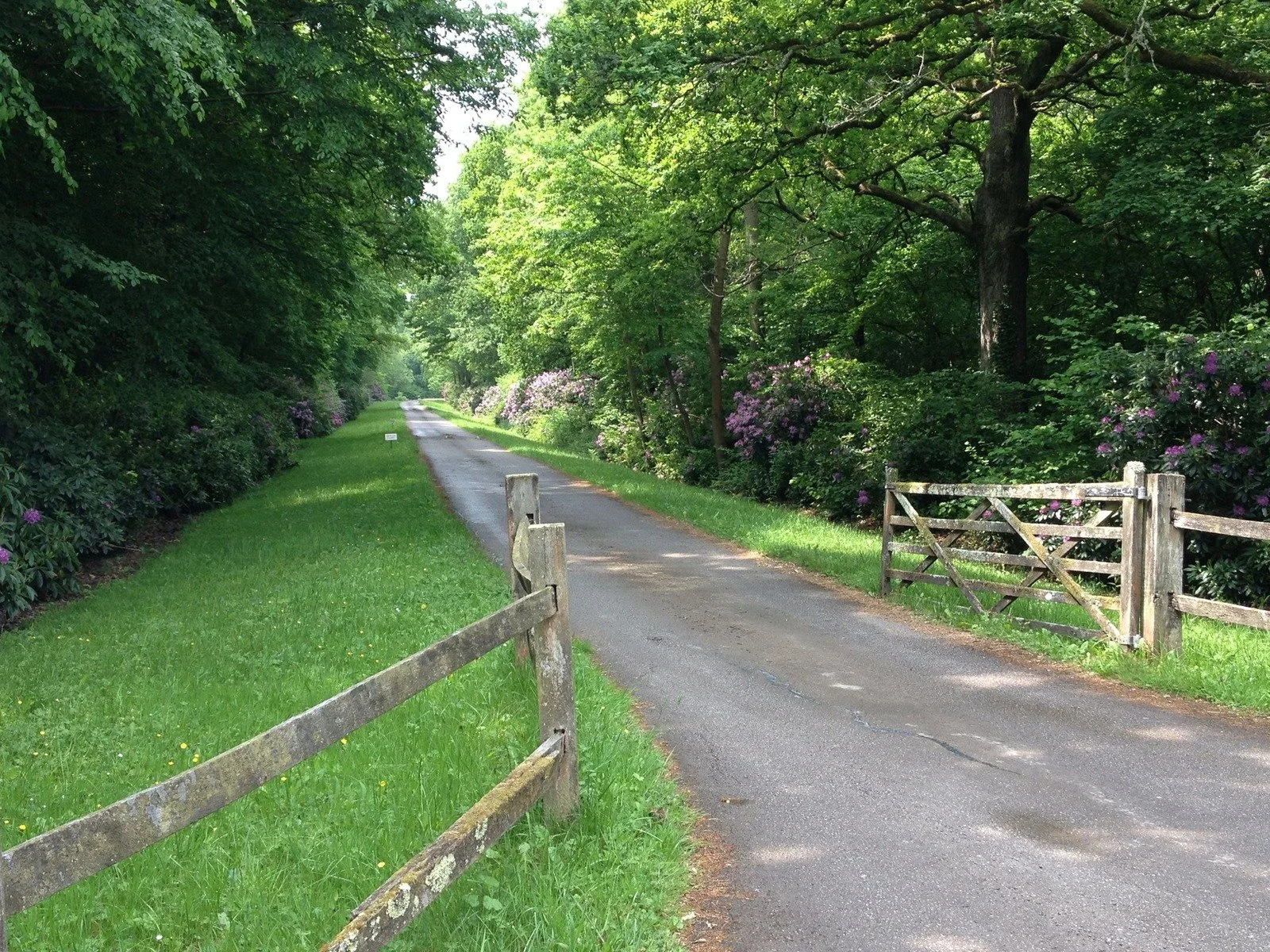 west-sussex-stately-home-film-photo-shoot-location-hire-drive-way.jpeg