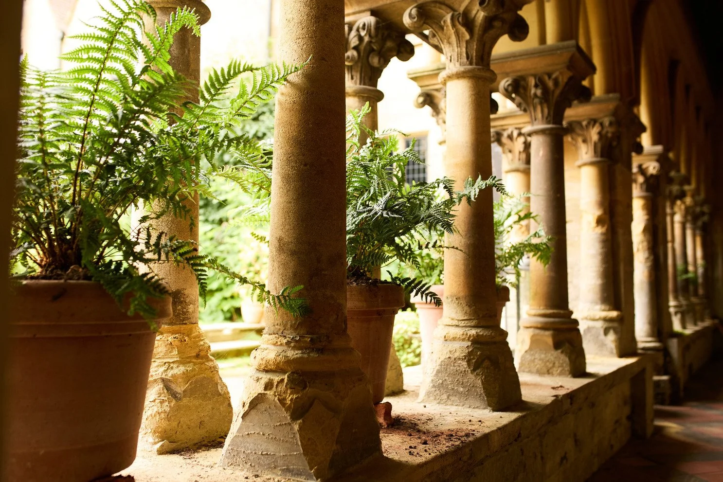 west-sussex-period-convent-film-photo-shoot-location-unique-venue-hire-ferns-greenery-ornate-stone-pillars.jpg