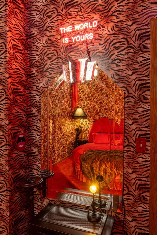 michigan-usa-kitsch-mid-century-house-film-photo-shoot-location-unique-venue-hire-zebra-print-neon-light-mirror.jpg