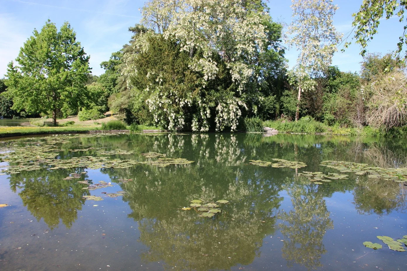 kent-historic-period-manor-house-film-photo-shoot-event-location-unique-venue-hire-main-lake.jpg