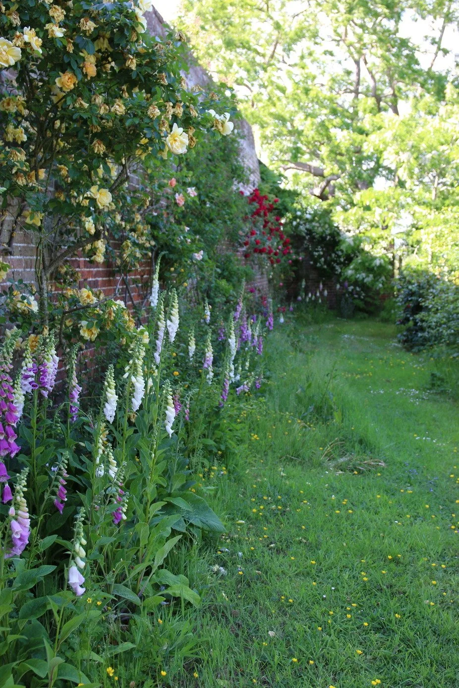 kent-historic-period-manor-house-film-photo-shoot-event-location-unique-venue-hire-walled-garden-flowers.jpg