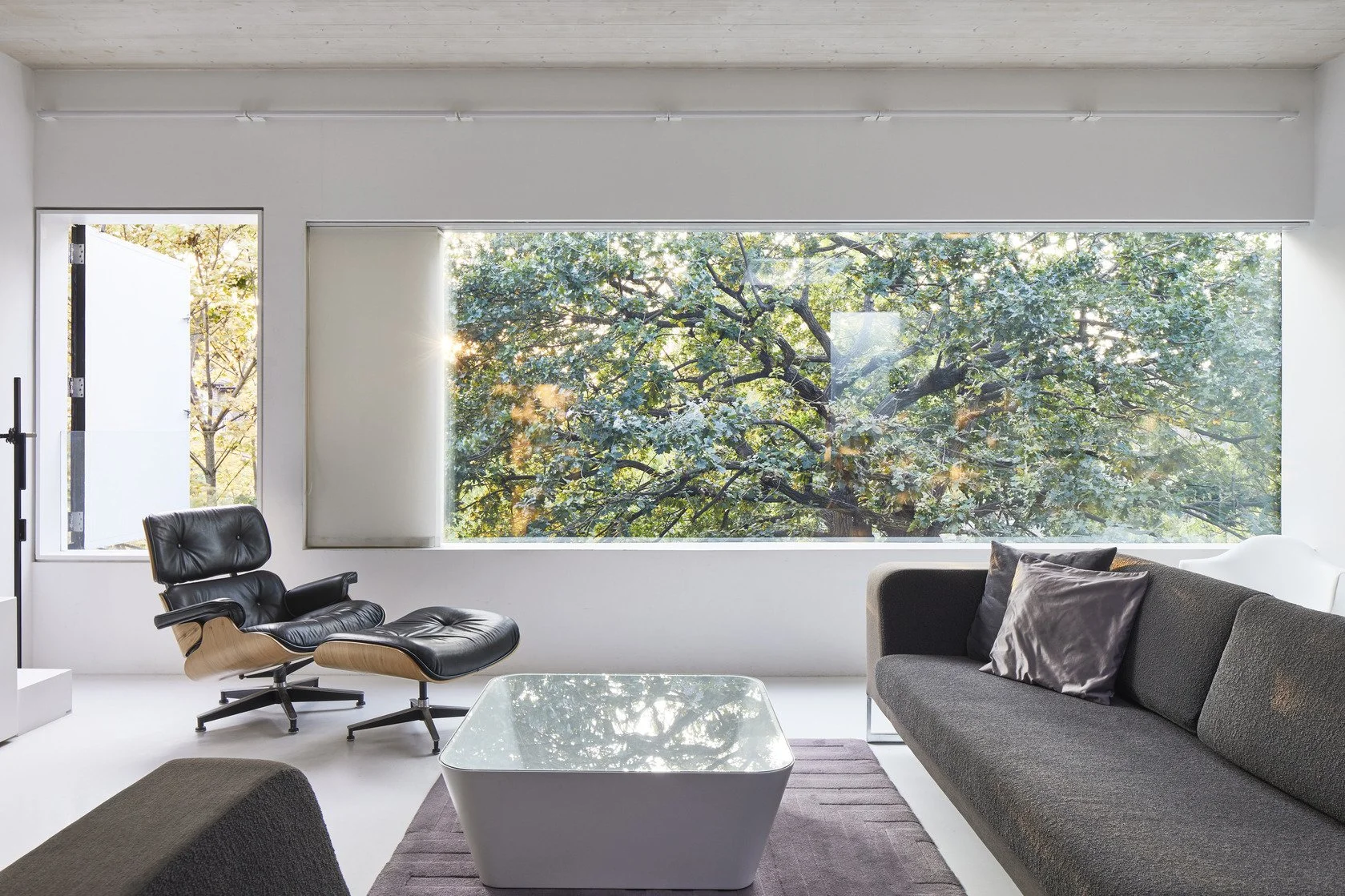 london-minimalist-timber-clad-modern-house-film-photo-shoot-location-unique-venue-hire-garden-tree-view.jpg